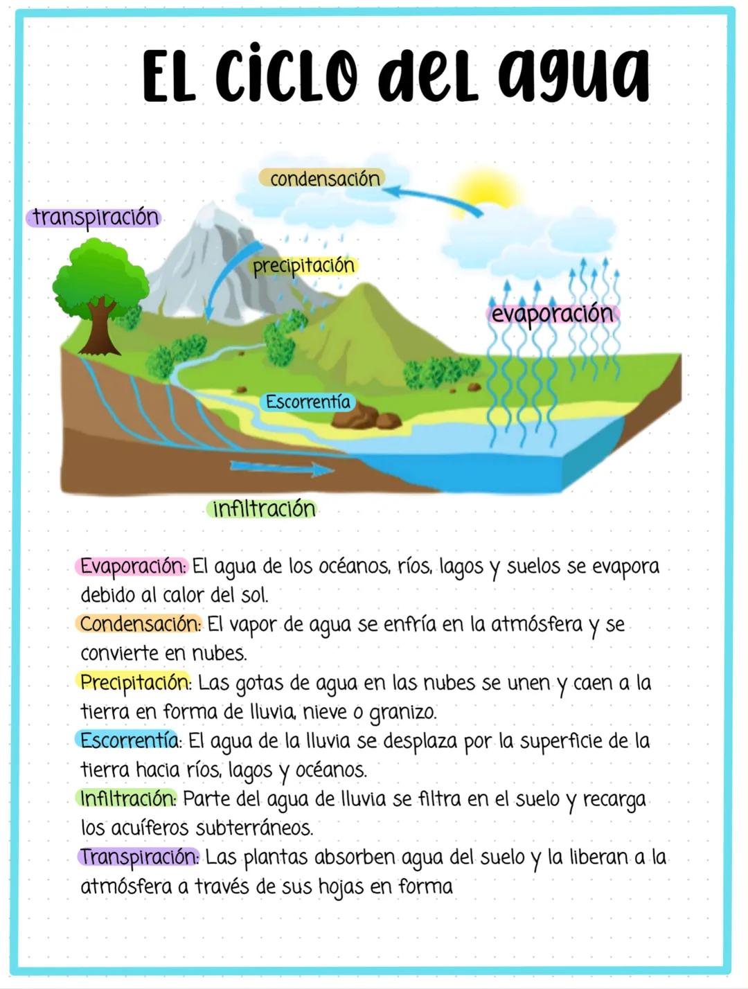 # EL Ciclo del agua
condensación
transpiración
precipitación
evaporación
Escorrentía
infiltración
Evaporación: El agua de los océanos