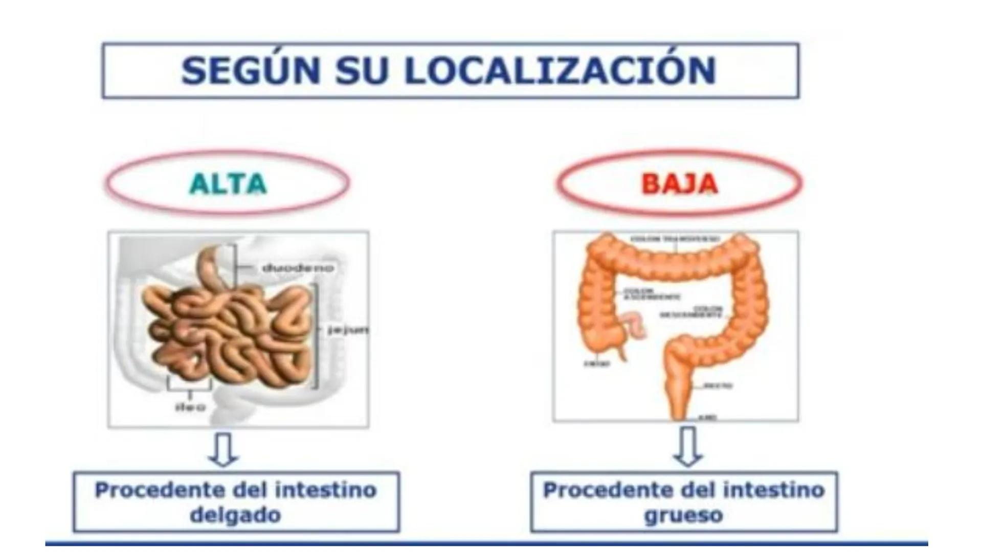Universidad para el Bienesta
UBBJ Sede: Quechultenango
Benito Juárez García
Tema: Diarreas
Materia: Propedéutica y Medica Fisiopatología