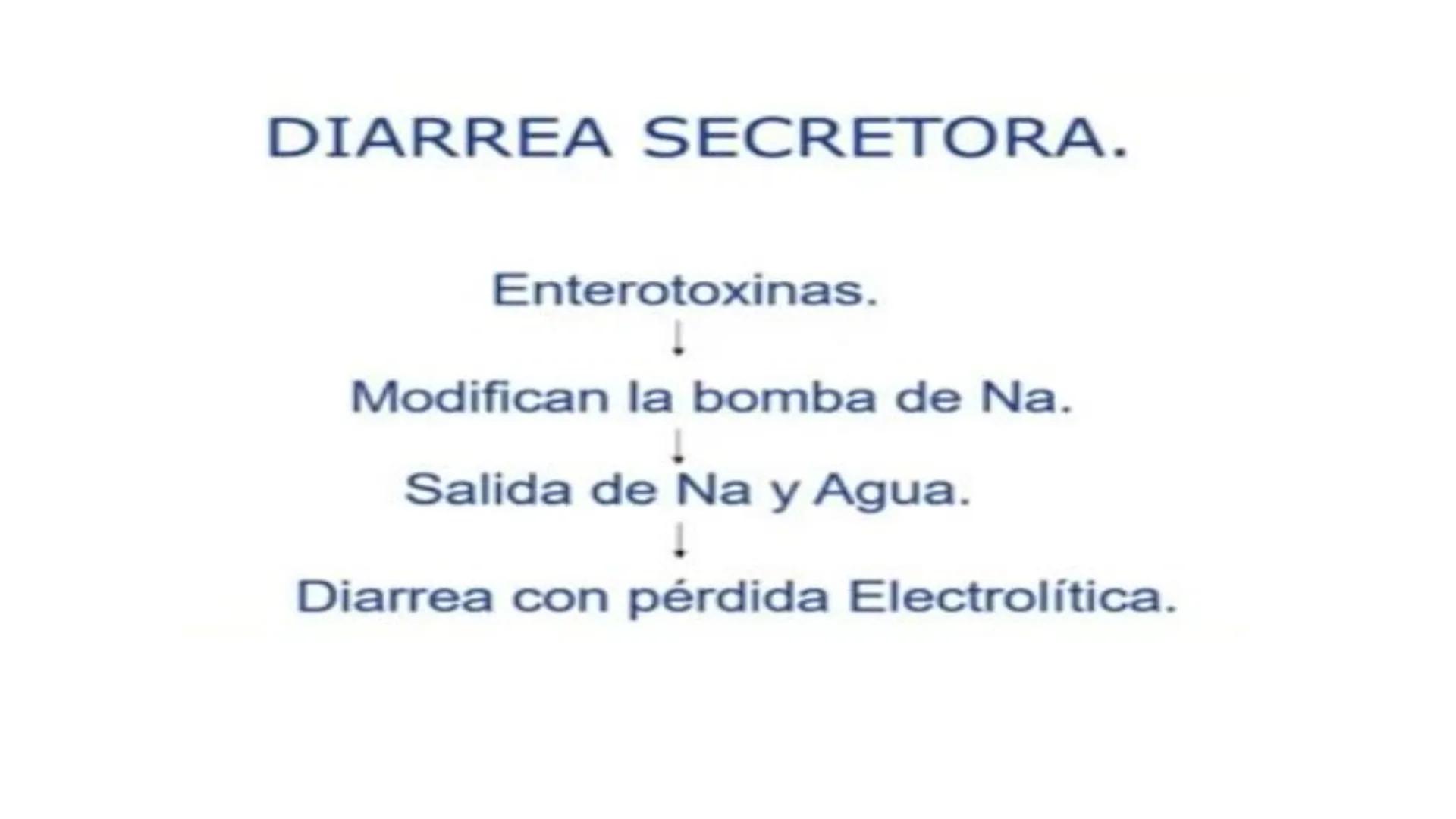 Universidad para el Bienesta
UBBJ Sede: Quechultenango
Benito Juárez García
Tema: Diarreas
Materia: Propedéutica y Medica Fisiopatología
