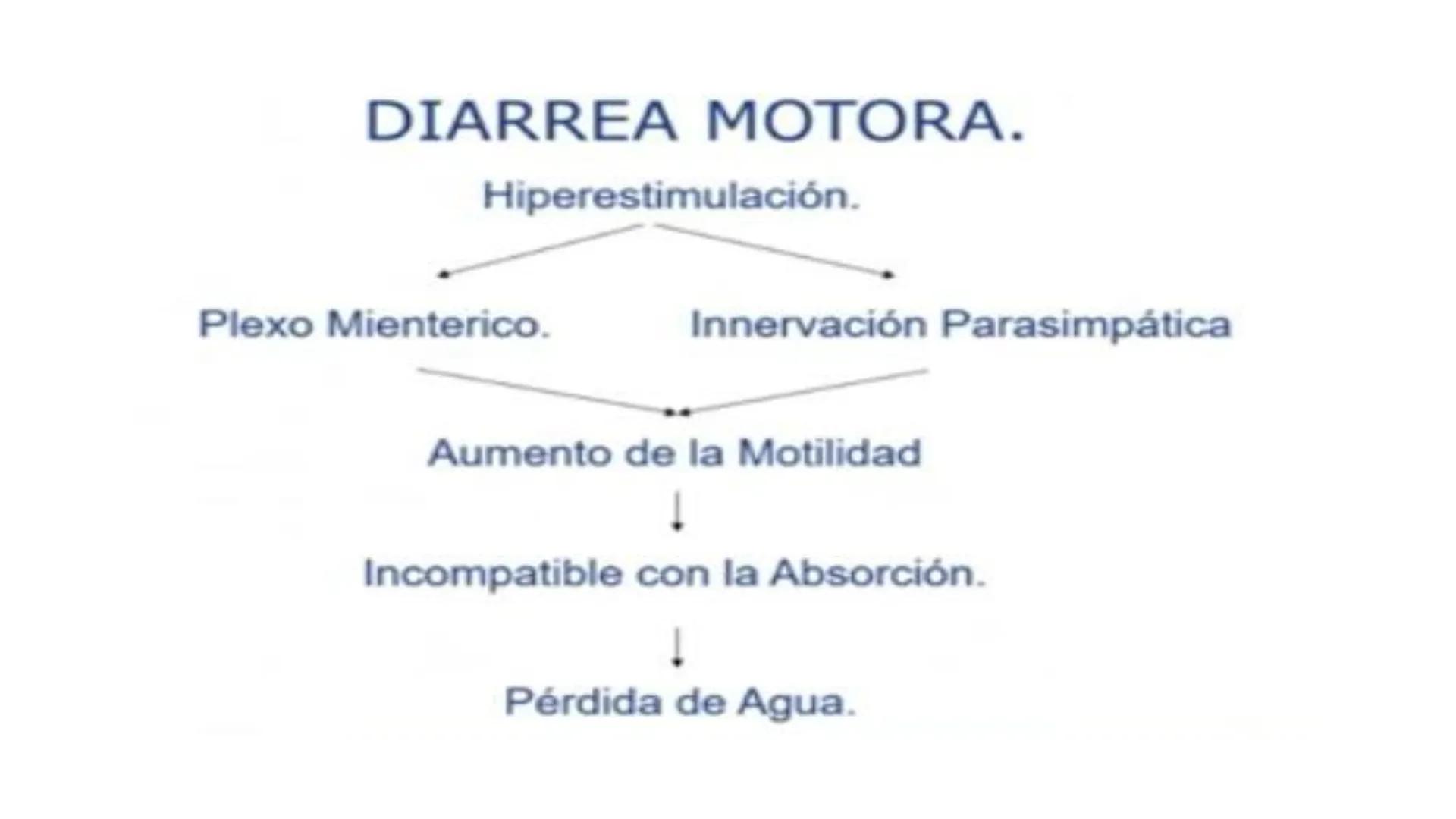 Universidad para el Bienesta
UBBJ Sede: Quechultenango
Benito Juárez García
Tema: Diarreas
Materia: Propedéutica y Medica Fisiopatología