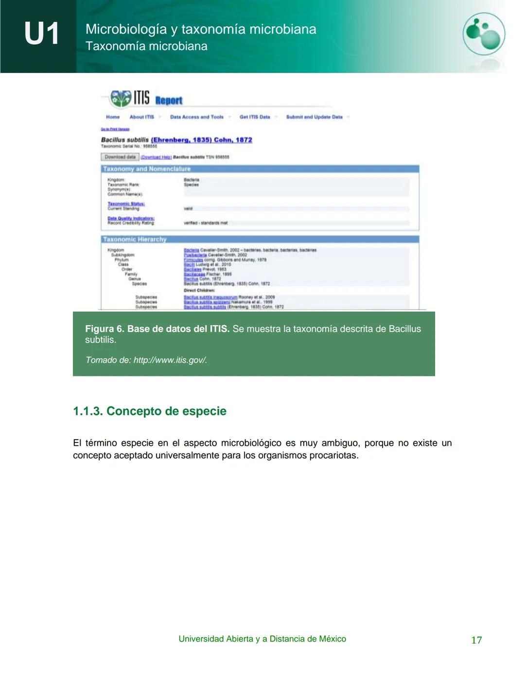 UnADM
UNIVERSIDAD ABIERTA Y
A DISTANCIA DE MÉXICO
Programa de la asignatura:
Microbiología y taxonomía
microbiana
U1 Taxonomía microbiana