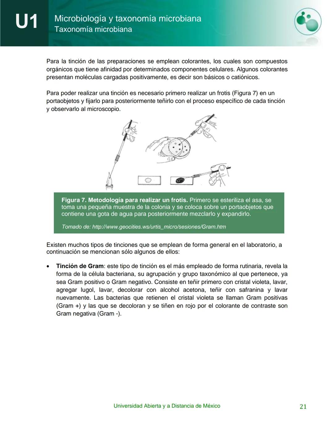 UnADM
UNIVERSIDAD ABIERTA Y
A DISTANCIA DE MÉXICO
Programa de la asignatura:
Microbiología y taxonomía
microbiana
U1 Taxonomía microbiana