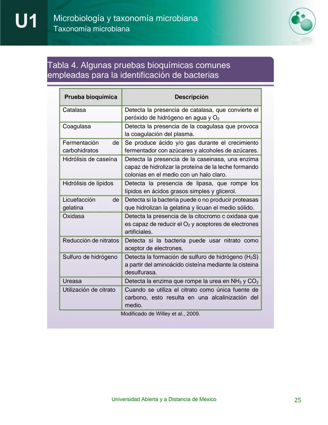 UnADM
UNIVERSIDAD ABIERTA Y
A DISTANCIA DE MÉXICO
Programa de la asignatura:
Microbiología y taxonomía
microbiana
U1 Taxonomía microbiana
