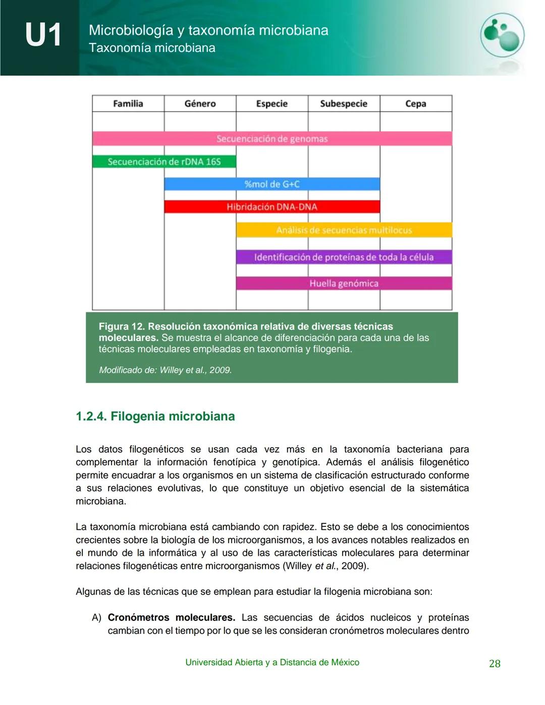 UnADM
UNIVERSIDAD ABIERTA Y
A DISTANCIA DE MÉXICO
Programa de la asignatura:
Microbiología y taxonomía
microbiana
U1 Taxonomía microbiana