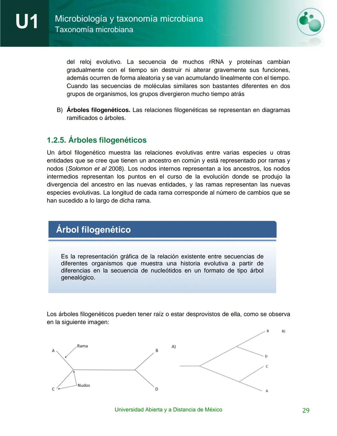 UnADM
UNIVERSIDAD ABIERTA Y
A DISTANCIA DE MÉXICO
Programa de la asignatura:
Microbiología y taxonomía
microbiana
U1 Taxonomía microbiana