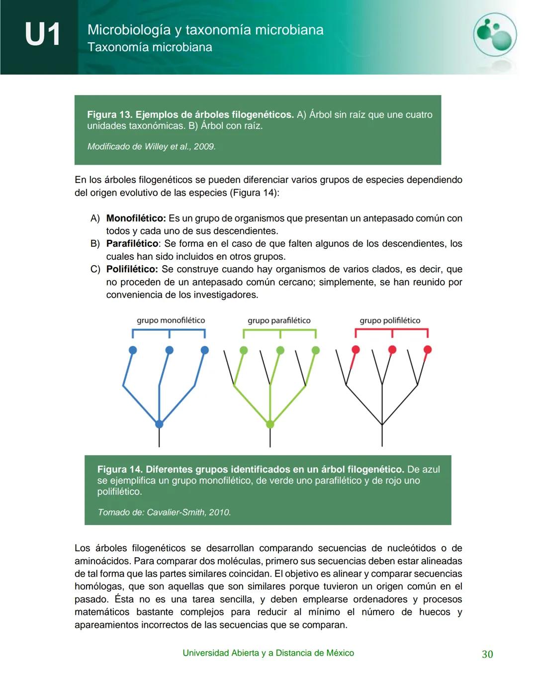 UnADM
UNIVERSIDAD ABIERTA Y
A DISTANCIA DE MÉXICO
Programa de la asignatura:
Microbiología y taxonomía
microbiana
U1 Taxonomía microbiana