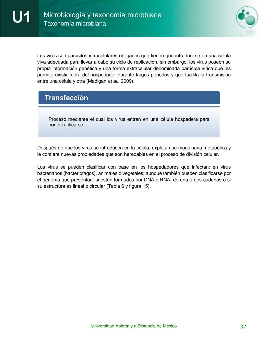 UnADM
UNIVERSIDAD ABIERTA Y
A DISTANCIA DE MÉXICO
Programa de la asignatura:
Microbiología y taxonomía
microbiana
U1 Taxonomía microbiana