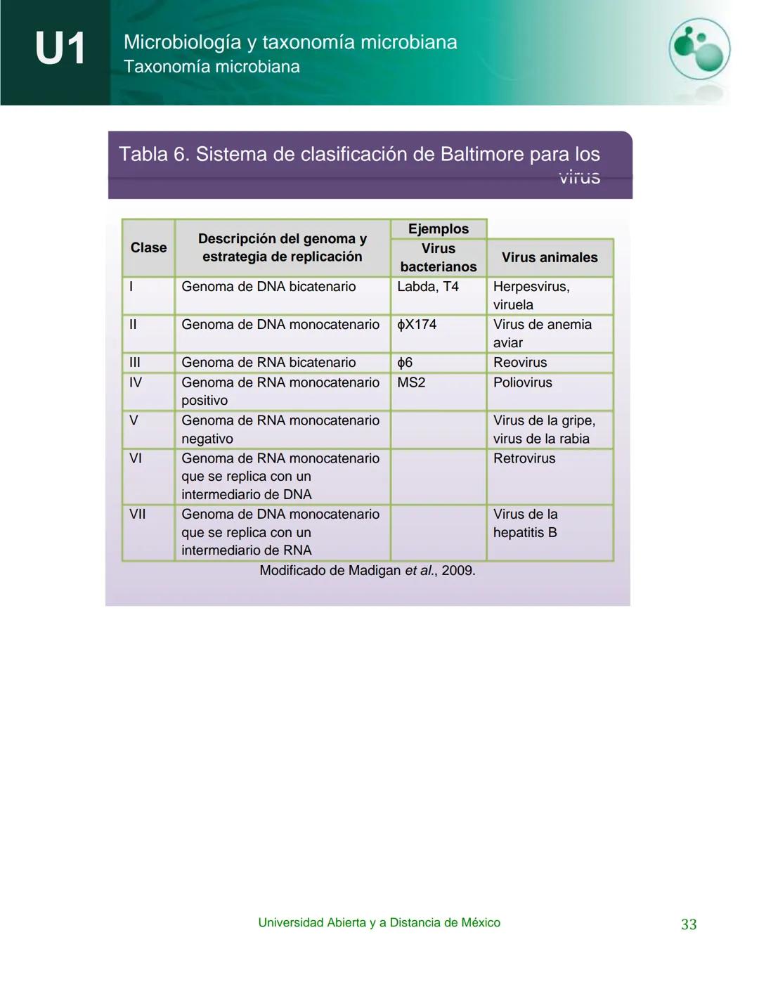 UnADM
UNIVERSIDAD ABIERTA Y
A DISTANCIA DE MÉXICO
Programa de la asignatura:
Microbiología y taxonomía
microbiana
U1 Taxonomía microbiana
