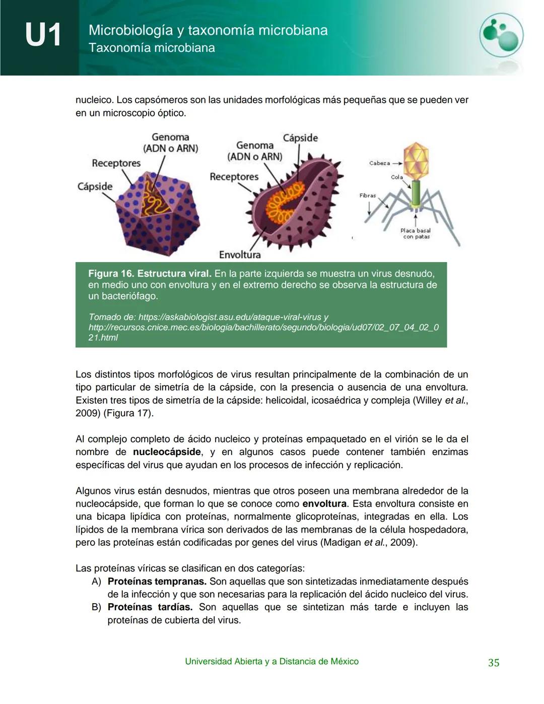 UnADM
UNIVERSIDAD ABIERTA Y
A DISTANCIA DE MÉXICO
Programa de la asignatura:
Microbiología y taxonomía
microbiana
U1 Taxonomía microbiana
