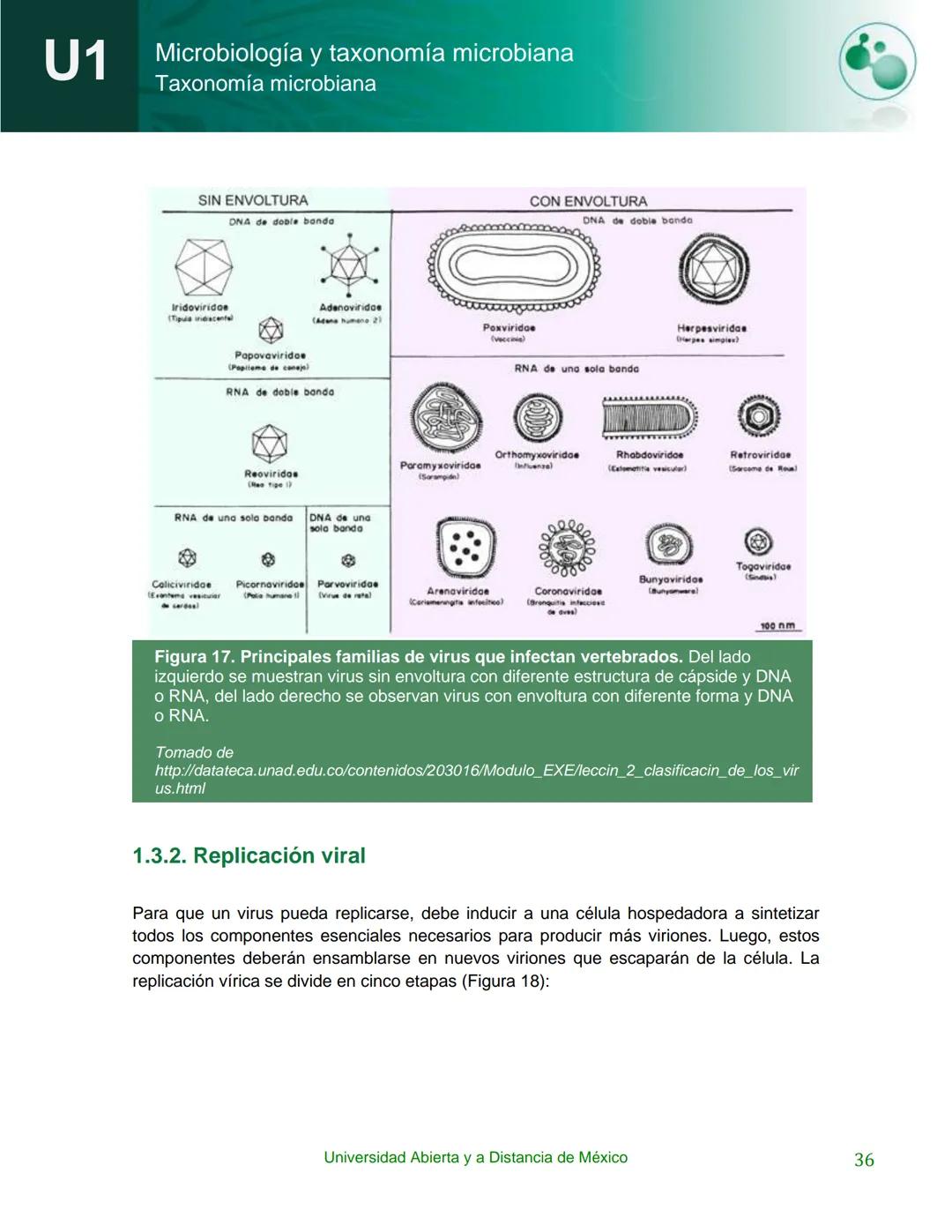 UnADM
UNIVERSIDAD ABIERTA Y
A DISTANCIA DE MÉXICO
Programa de la asignatura:
Microbiología y taxonomía
microbiana
U1 Taxonomía microbiana