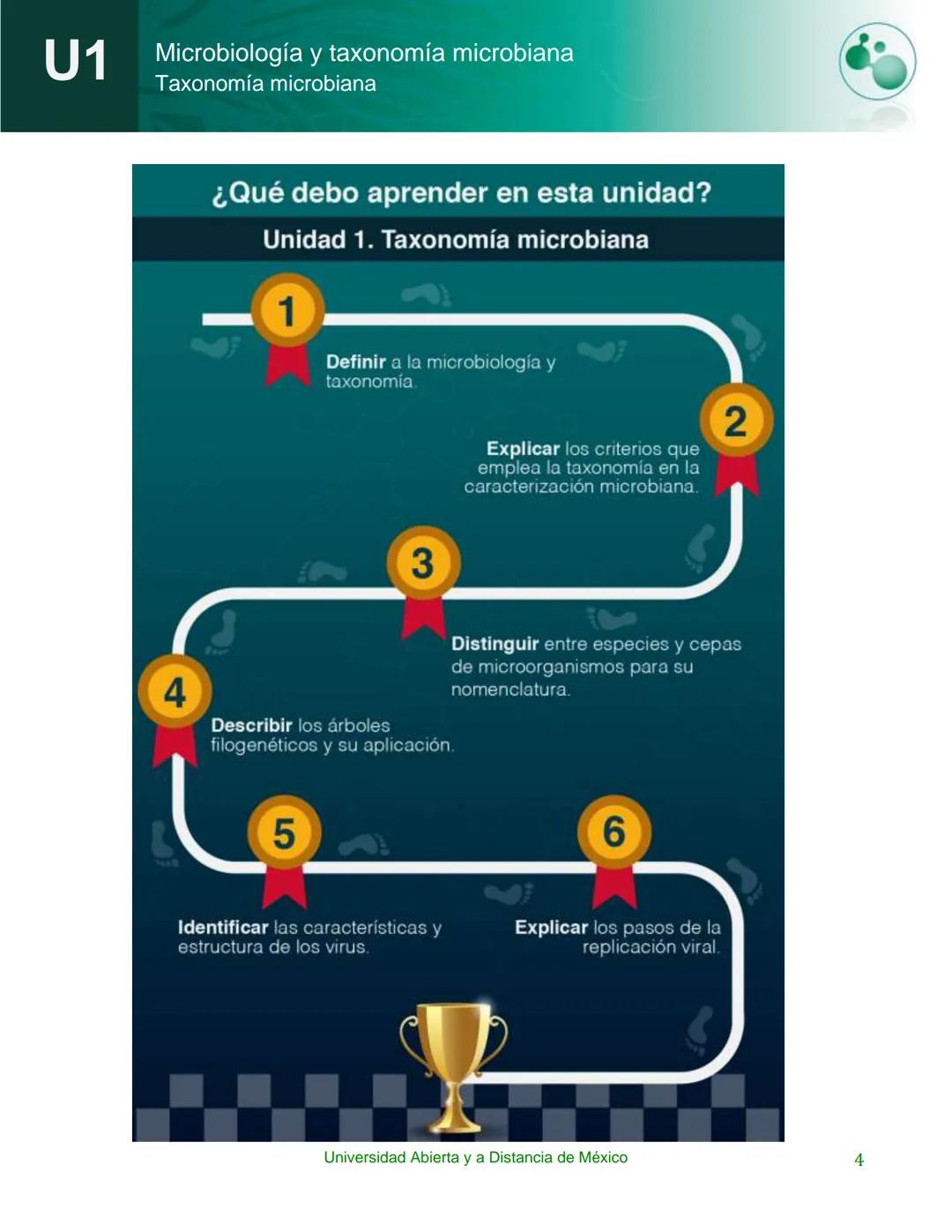 UnADM
UNIVERSIDAD ABIERTA Y
A DISTANCIA DE MÉXICO
Programa de la asignatura:
Microbiología y taxonomía
microbiana
U1 Taxonomía microbiana