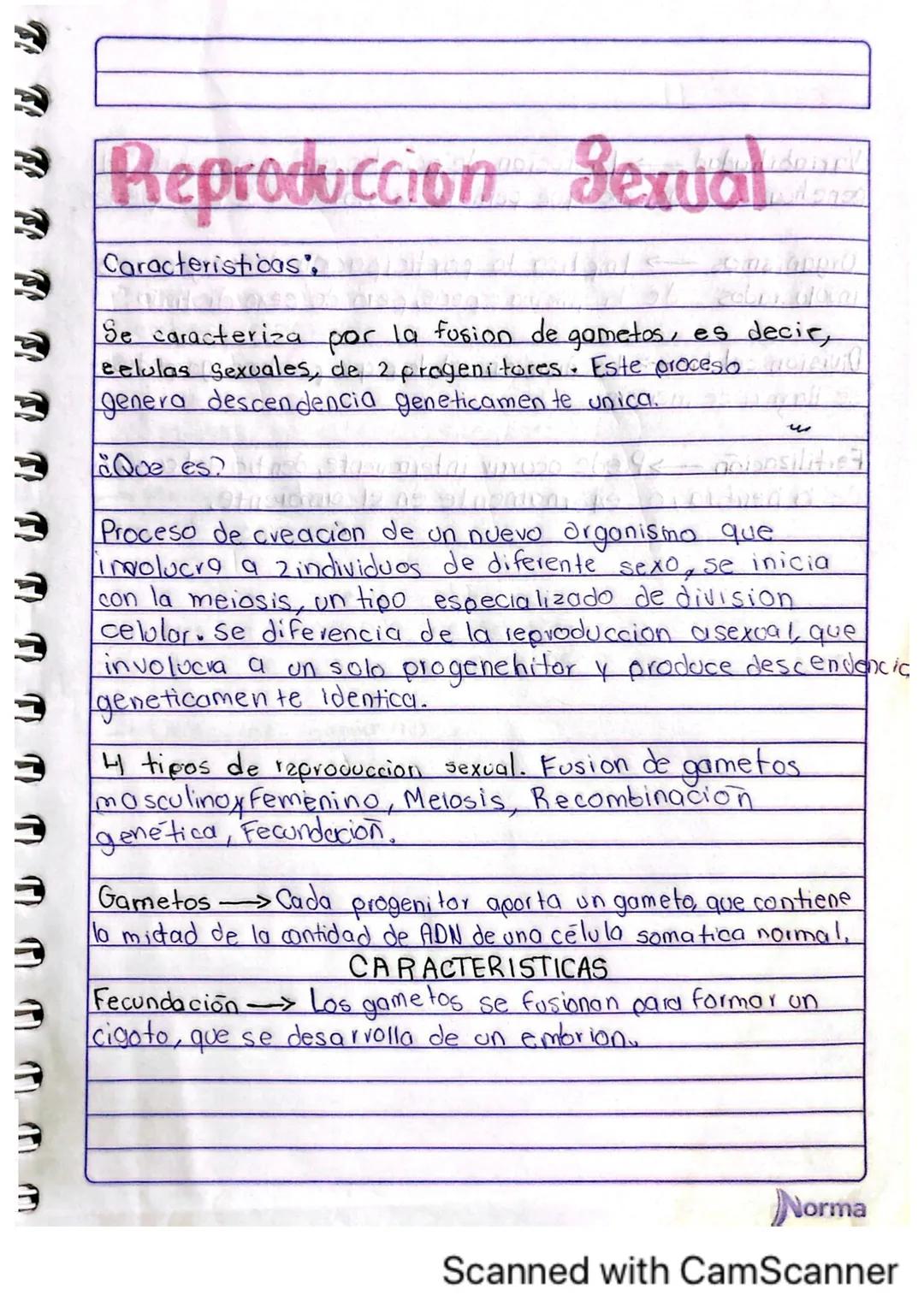 Comila Michelle Baez Garcio
101
10-02-2025
# TARERA
1.¿Los humanos se pueden reproducir asexualmente?
No, los humanos no nos podemos repro