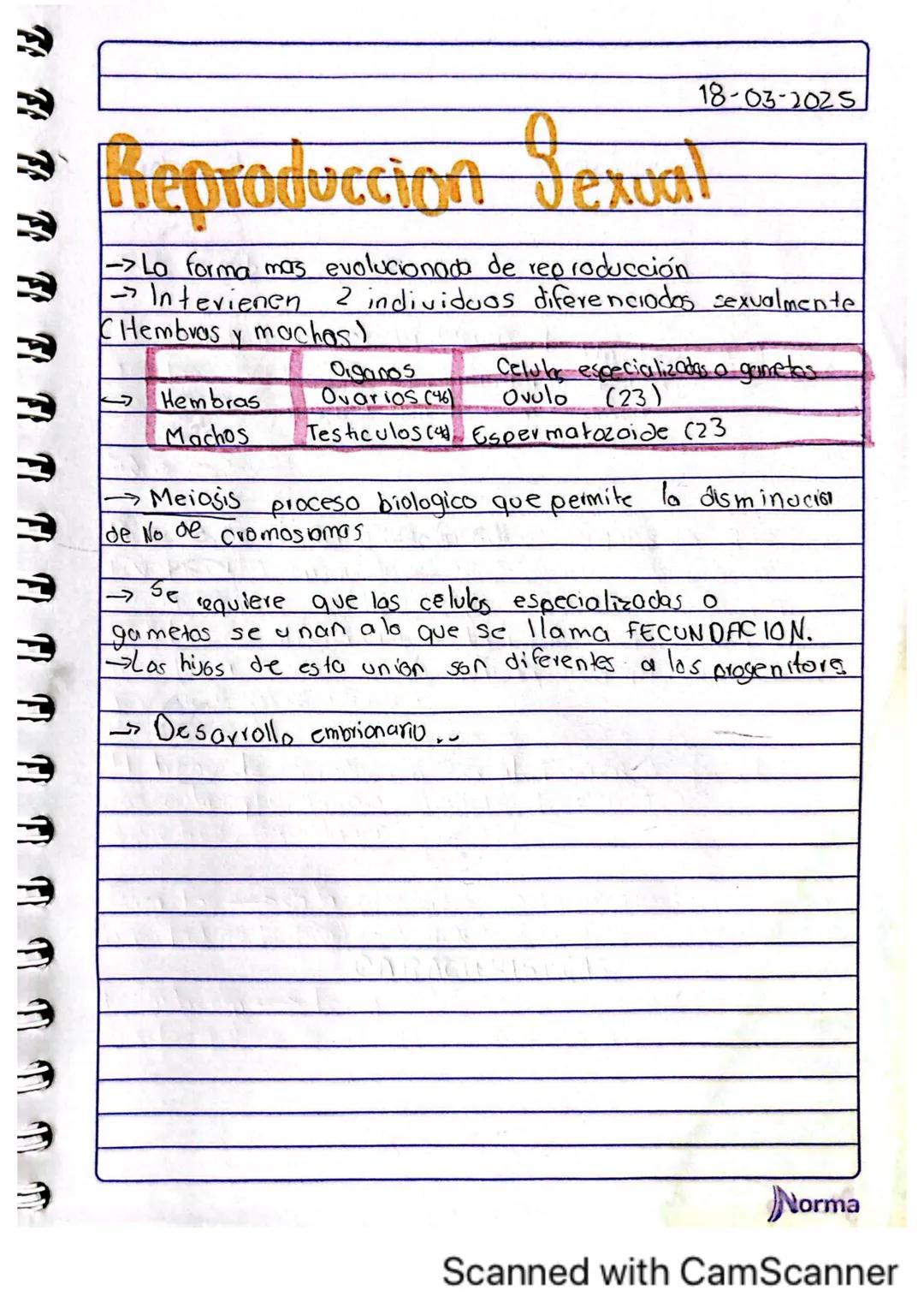 Comila Michelle Baez Garcio
101
10-02-2025
# TARERA
1.¿Los humanos se pueden reproducir asexualmente?
No, los humanos no nos podemos repro
