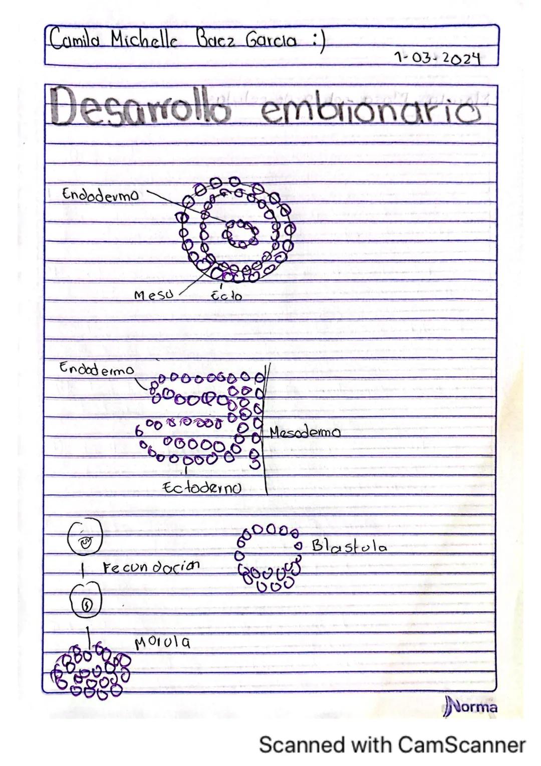 Comila Michelle Baez Garcio
101
10-02-2025
# TARERA
1.¿Los humanos se pueden reproducir asexualmente?
No, los humanos no nos podemos repro