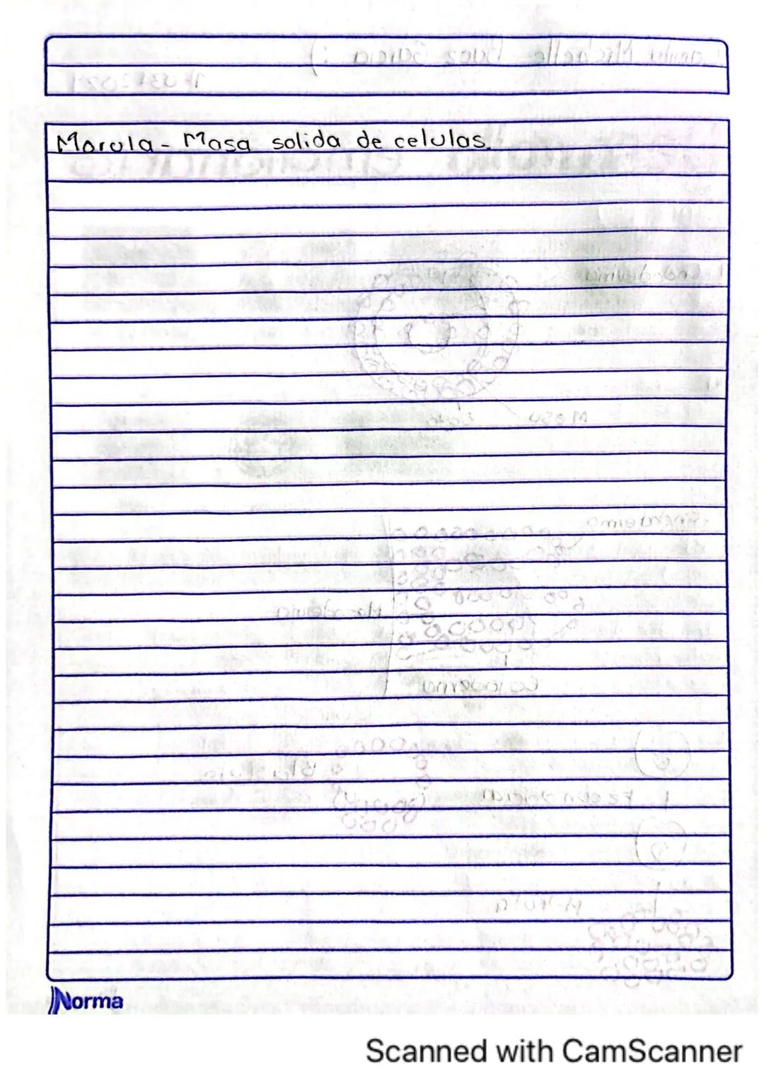 Comila Michelle Baez Garcio
101
10-02-2025
# TARERA
1.¿Los humanos se pueden reproducir asexualmente?
No, los humanos no nos podemos repro