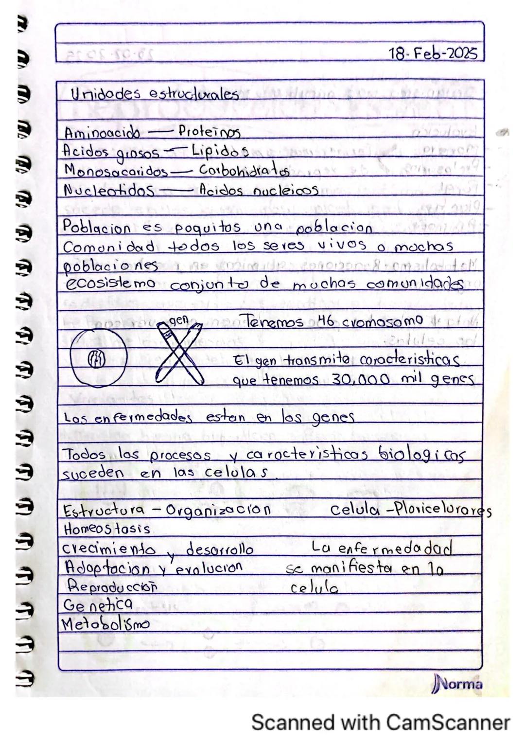 Comila Michelle Baez Garcio
101
10-02-2025
# TARERA
1.¿Los humanos se pueden reproducir asexualmente?
No, los humanos no nos podemos repro