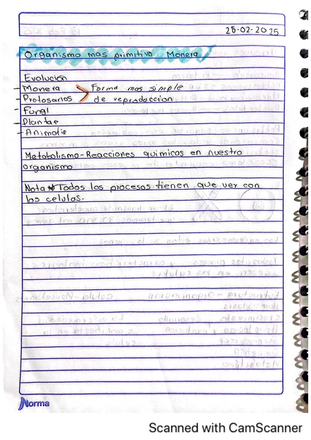 Comila Michelle Baez Garcio
101
10-02-2025
# TARERA
1.¿Los humanos se pueden reproducir asexualmente?
No, los humanos no nos podemos repro