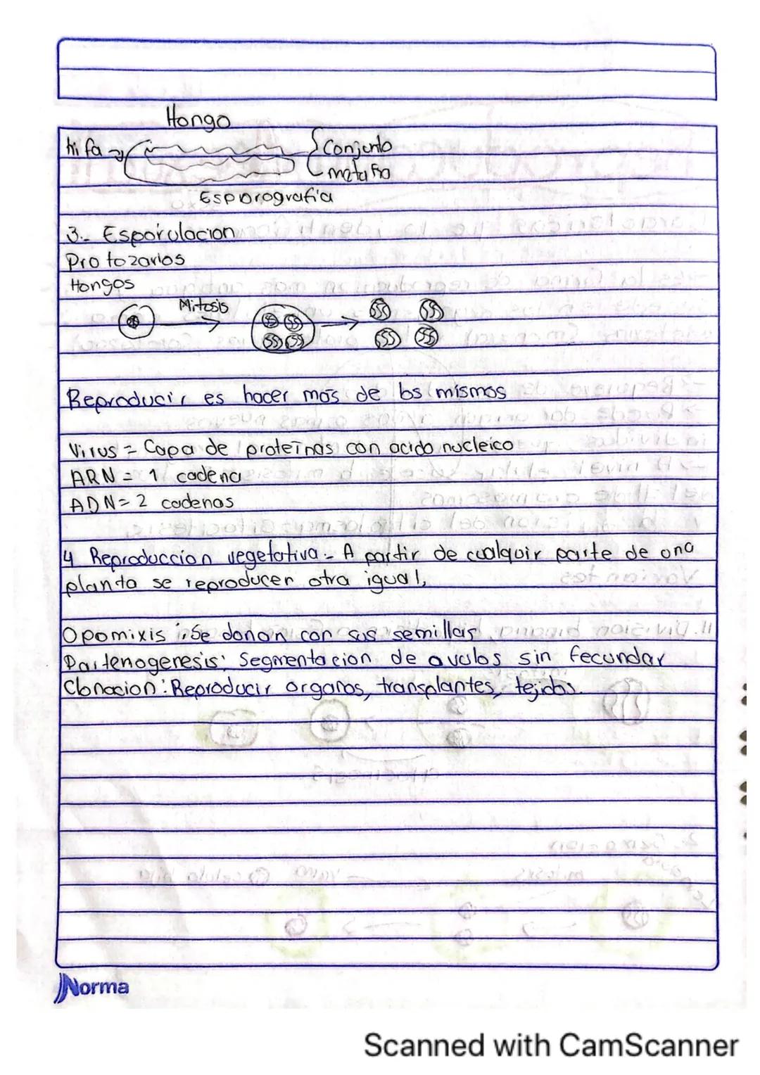 Comila Michelle Baez Garcio
101
10-02-2025
# TARERA
1.¿Los humanos se pueden reproducir asexualmente?
No, los humanos no nos podemos repro