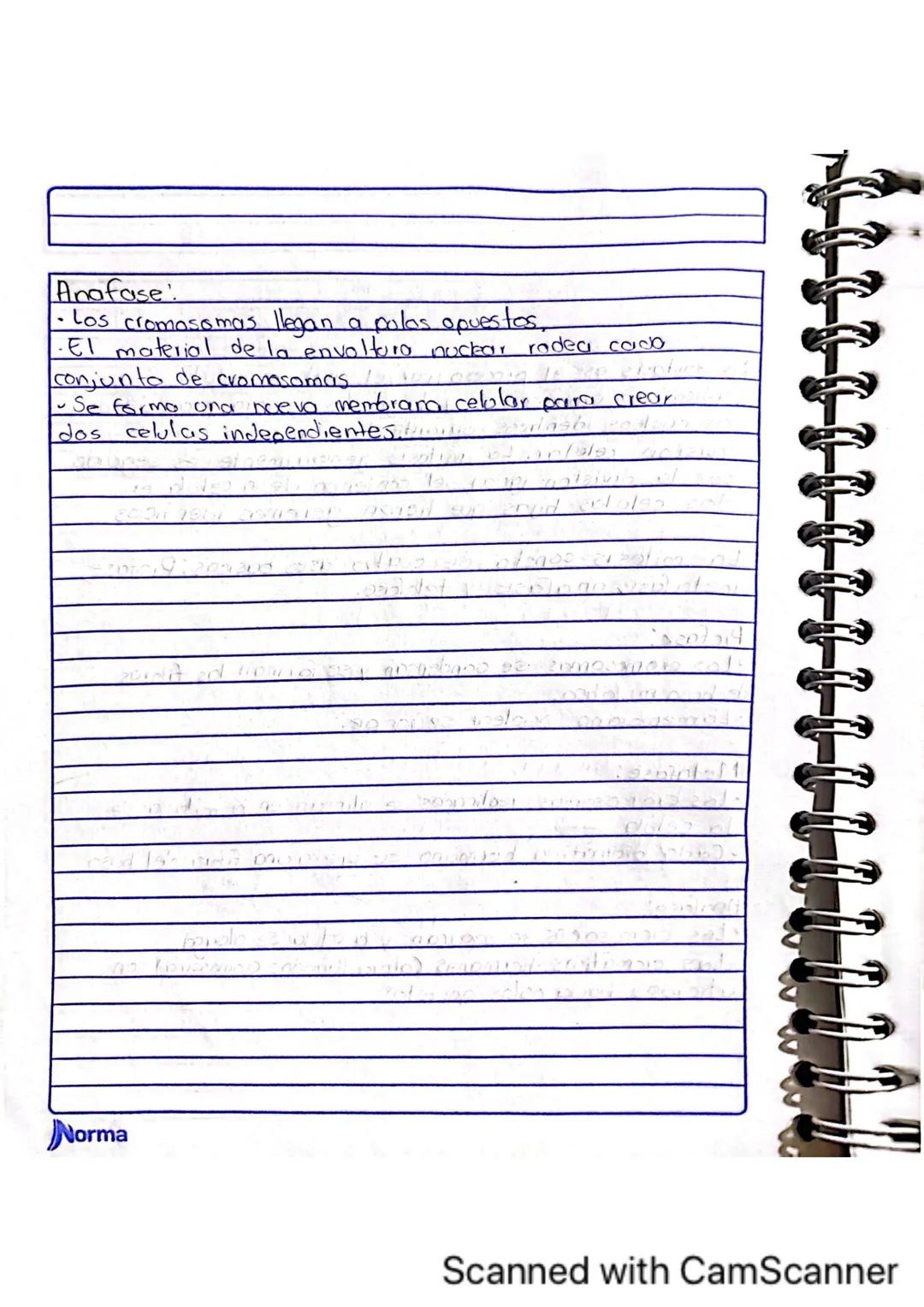 Comila Michelle Baez Garcio
101
10-02-2025
# TARERA
1.¿Los humanos se pueden reproducir asexualmente?
No, los humanos no nos podemos repro