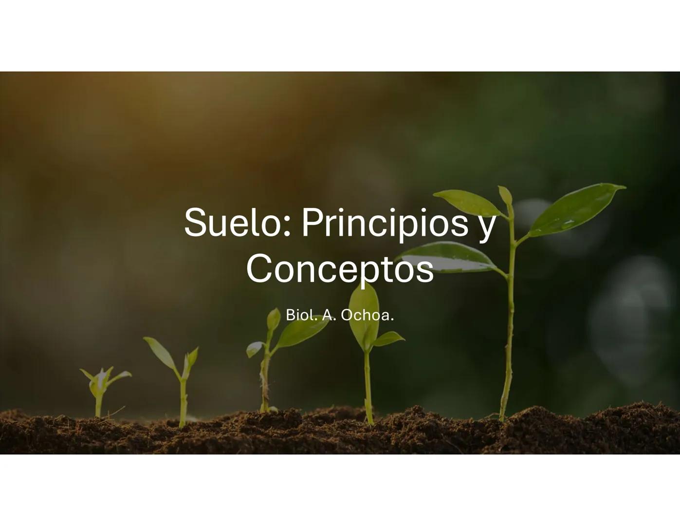 # Suelo: Principios y
Conceptos
Biol. A. Ochoa. --- OCR Start ---
Componentes inorgánicos
45%
Componentes
orgánicos
5%
Composición promedio
