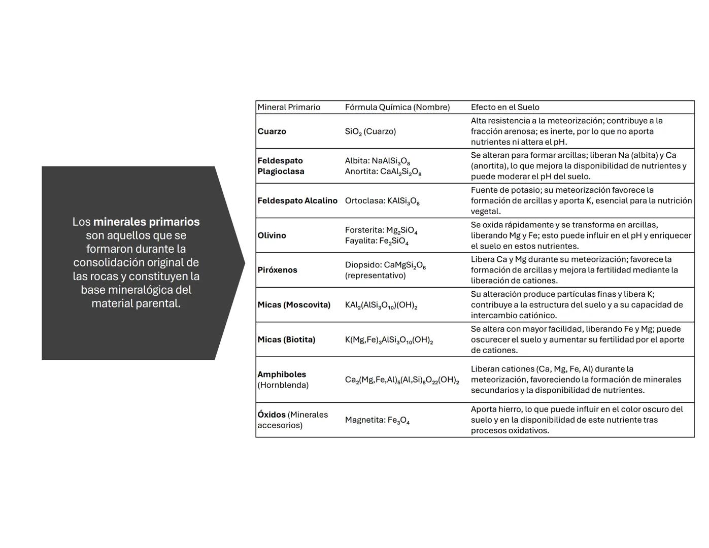 # Suelo: Principios y
Conceptos
Biol. A. Ochoa. --- OCR Start ---
Componentes inorgánicos
45%
Componentes
orgánicos
5%
Composición promedio