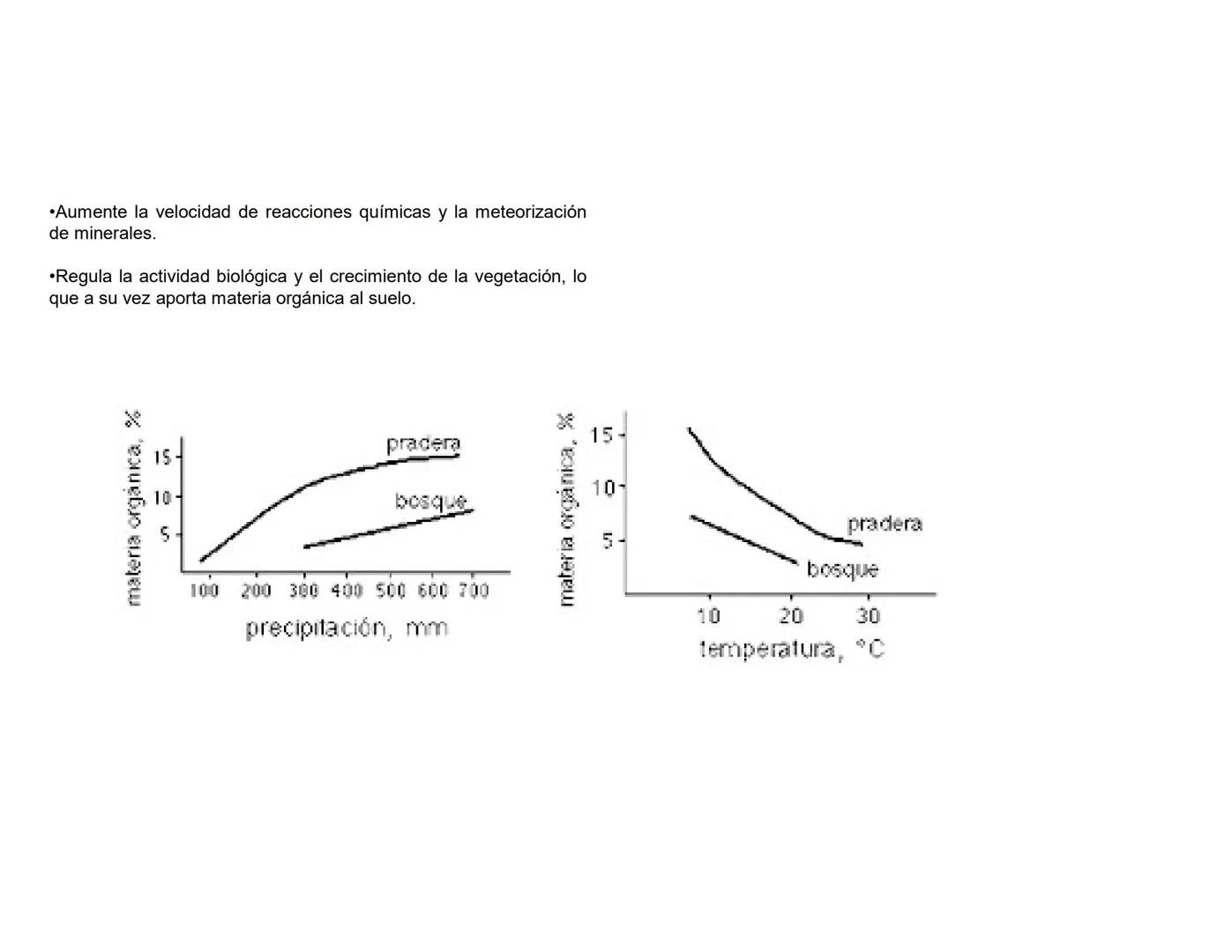# Suelo: Principios y
Conceptos
Biol. A. Ochoa. --- OCR Start ---
Componentes inorgánicos
45%
Componentes
orgánicos
5%
Composición promedio