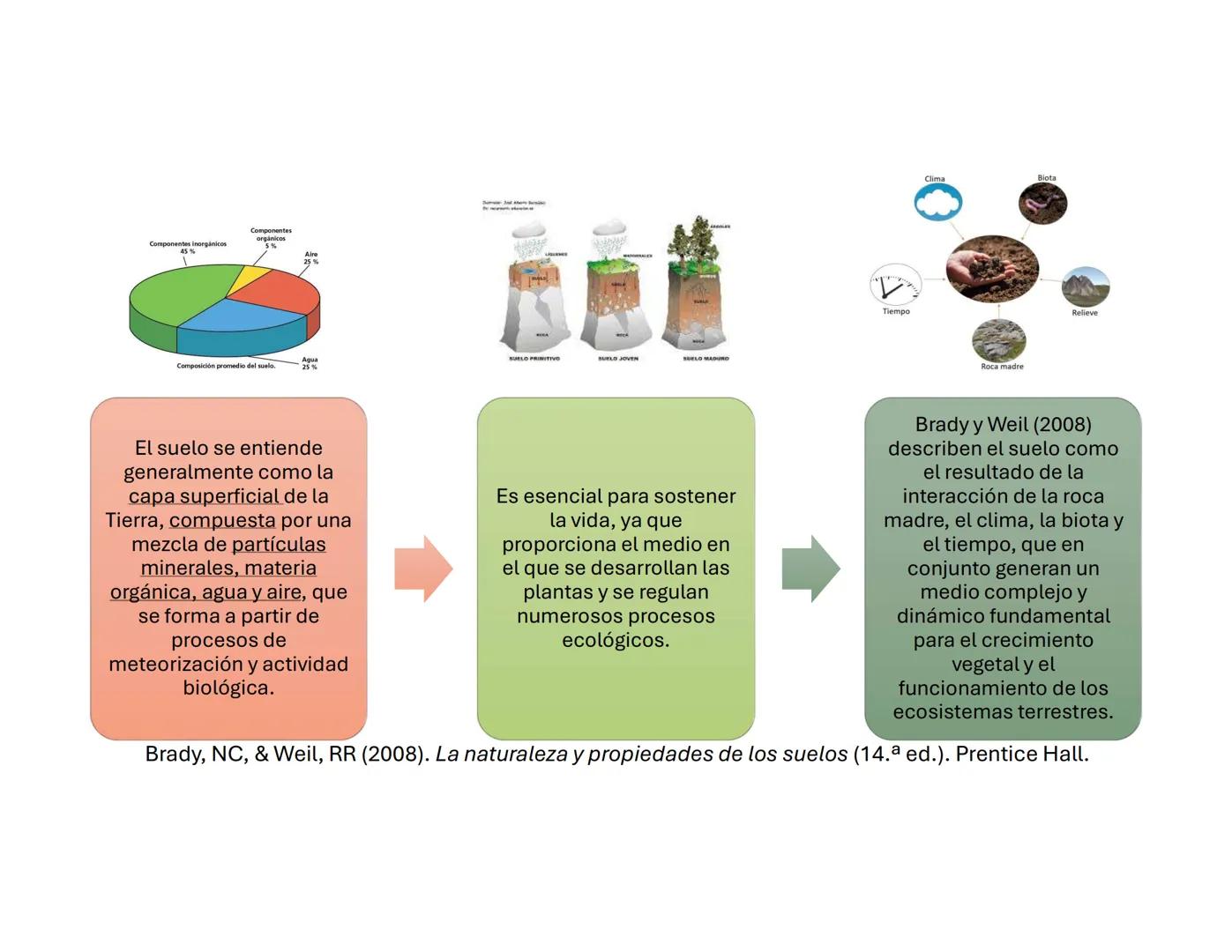 # Suelo: Principios y
Conceptos
Biol. A. Ochoa. --- OCR Start ---
Componentes inorgánicos
45%
Componentes
orgánicos
5%
Composición promedio