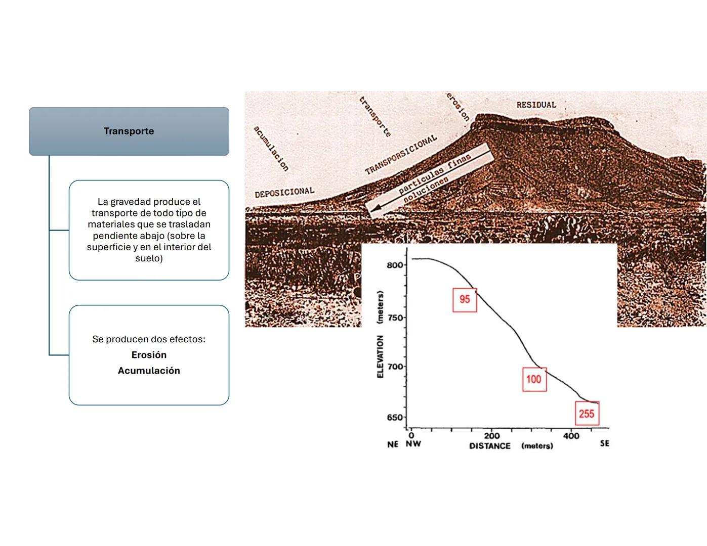 # Suelo: Principios y
Conceptos
Biol. A. Ochoa. --- OCR Start ---
Componentes inorgánicos
45%
Componentes
orgánicos
5%
Composición promedio
