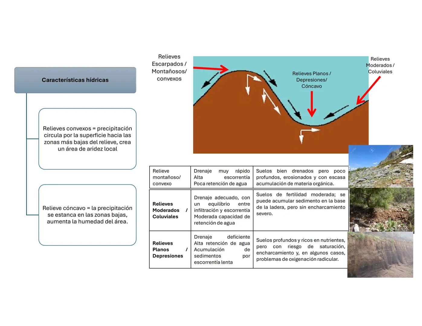 # Suelo: Principios y
Conceptos
Biol. A. Ochoa. --- OCR Start ---
Componentes inorgánicos
45%
Componentes
orgánicos
5%
Composición promedio
