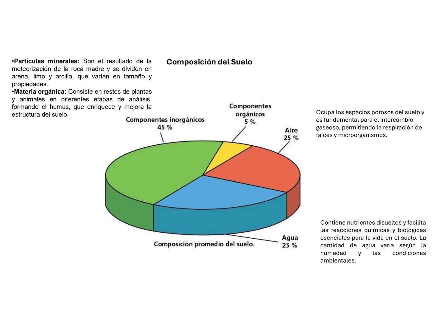 # Suelo: Principios y
Conceptos
Biol. A. Ochoa. --- OCR Start ---
Componentes inorgánicos
45%
Componentes
orgánicos
5%
Composición promedio