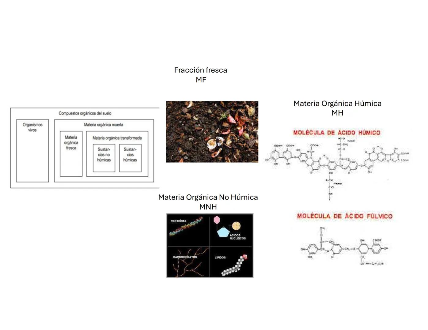 # Suelo: Principios y
Conceptos
Biol. A. Ochoa. --- OCR Start ---
Componentes inorgánicos
45%
Componentes
orgánicos
5%
Composición promedio