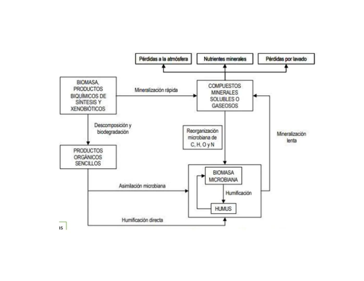 # Suelo: Principios y
Conceptos
Biol. A. Ochoa. --- OCR Start ---
Componentes inorgánicos
45%
Componentes
orgánicos
5%
Composición promedio