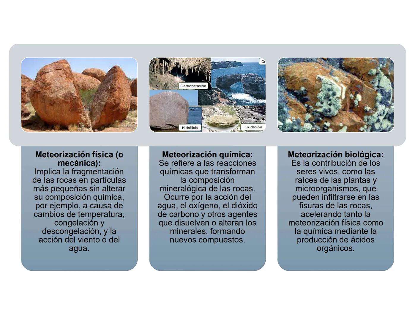 # Suelo: Principios y
Conceptos
Biol. A. Ochoa. --- OCR Start ---
Componentes inorgánicos
45%
Componentes
orgánicos
5%
Composición promedio