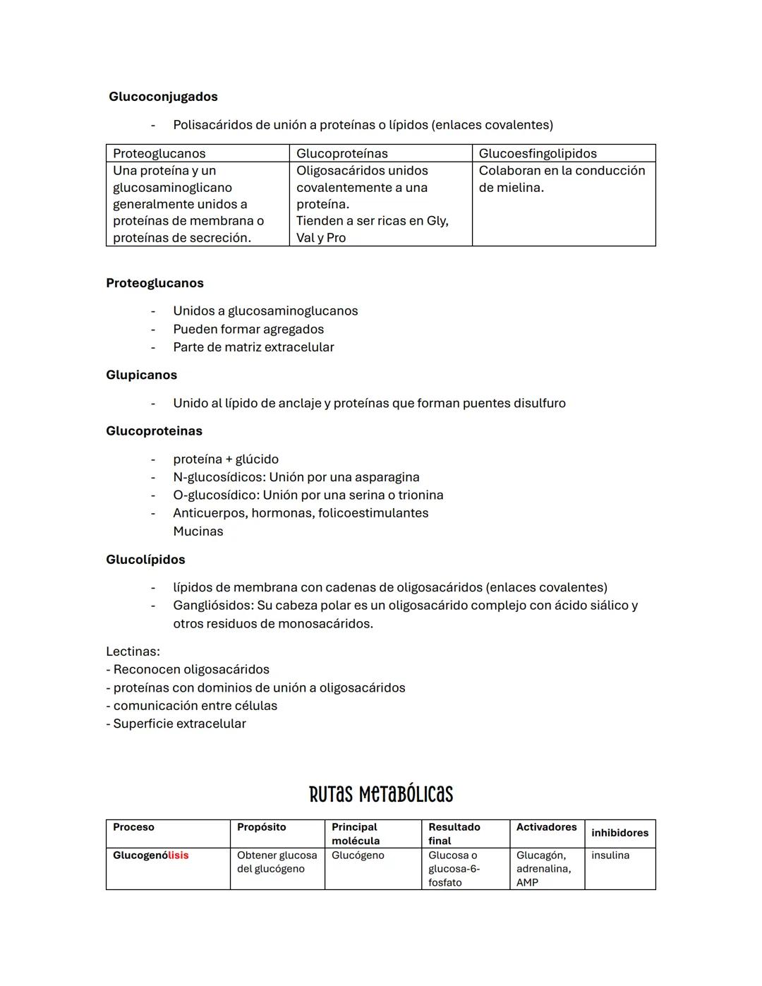 --- OCR Start ---
Guía de BIOQUÍMICа #2
carbohidratos/ BLÚCIDOS
-La oxidación de los glúcidos es la principal ruta de obtención de energía e