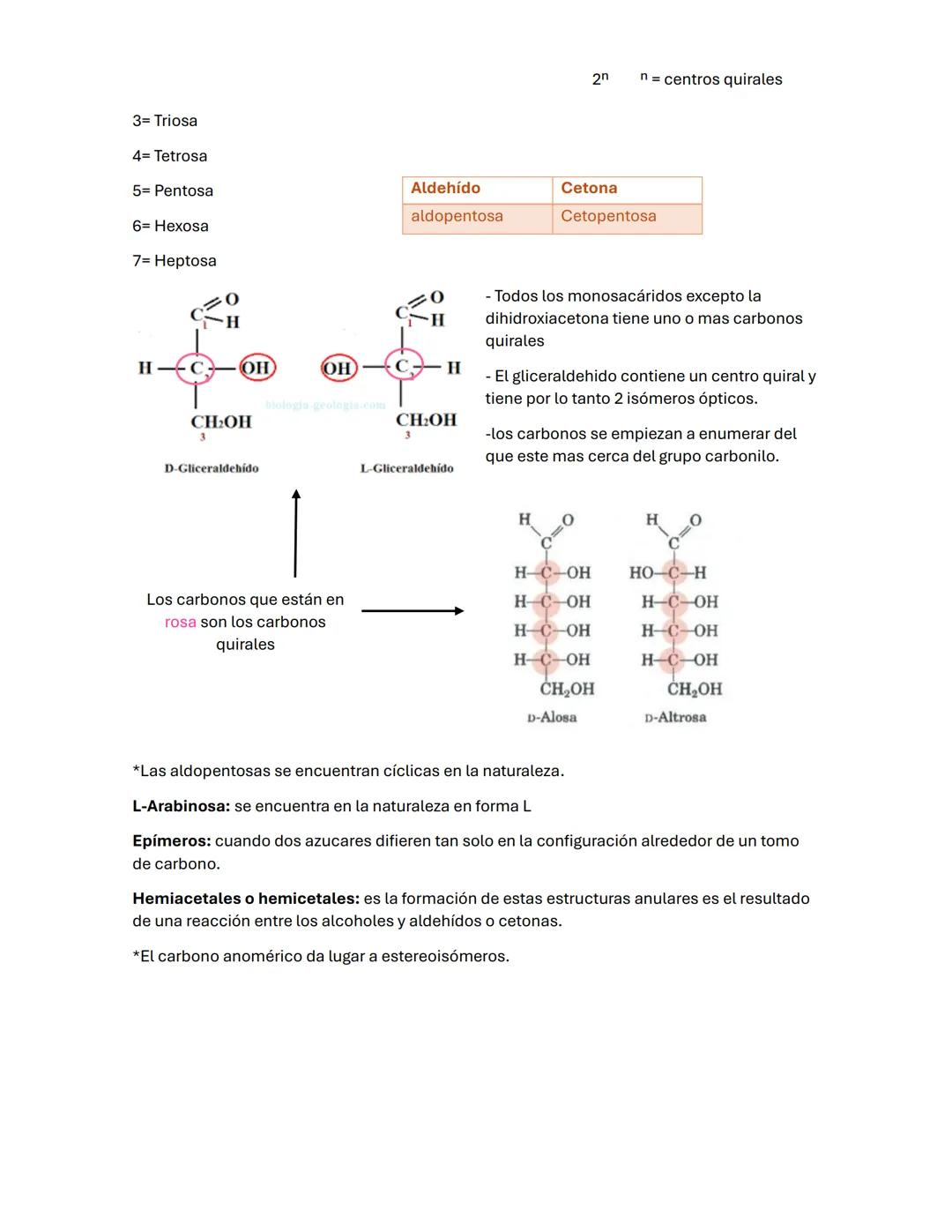 --- OCR Start ---
Guía de BIOQUÍMICа #2
carbohidratos/ BLÚCIDOS
-La oxidación de los glúcidos es la principal ruta de obtención de energía e