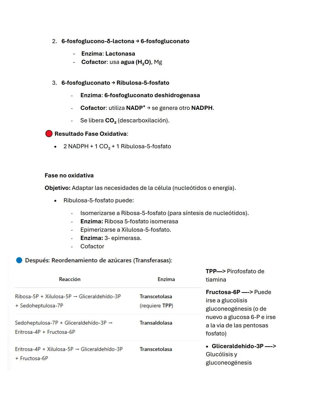 --- OCR Start ---
Guía de BIOQUÍMICа #2
carbohidratos/ BLÚCIDOS
-La oxidación de los glúcidos es la principal ruta de obtención de energía e