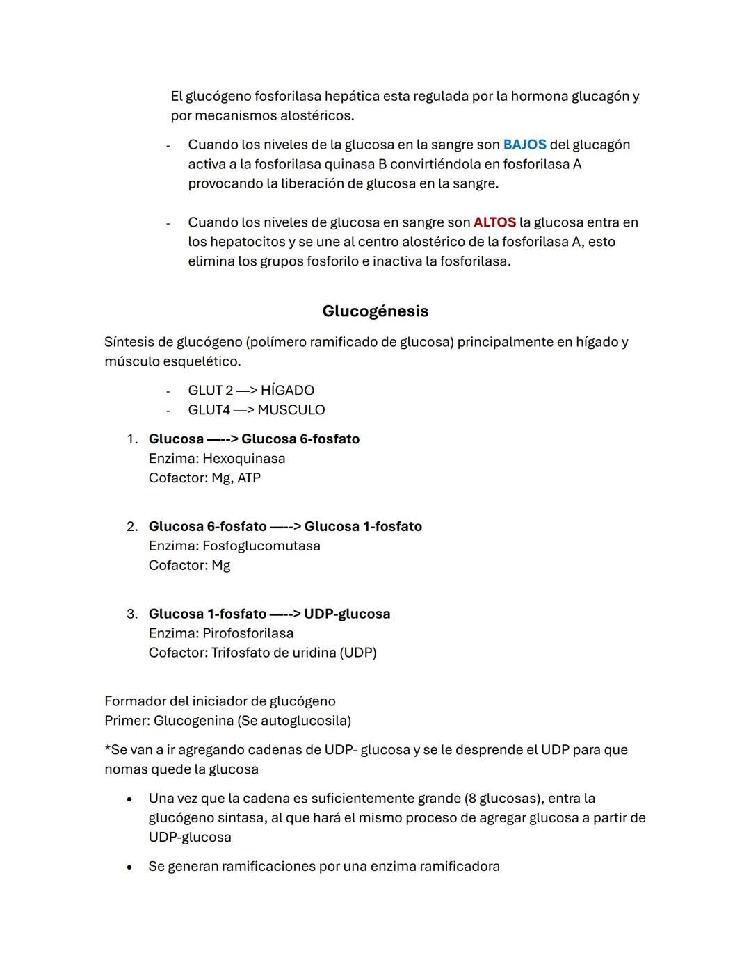 --- OCR Start ---
Guía de BIOQUÍMICа #2
carbohidratos/ BLÚCIDOS
-La oxidación de los glúcidos es la principal ruta de obtención de energía e