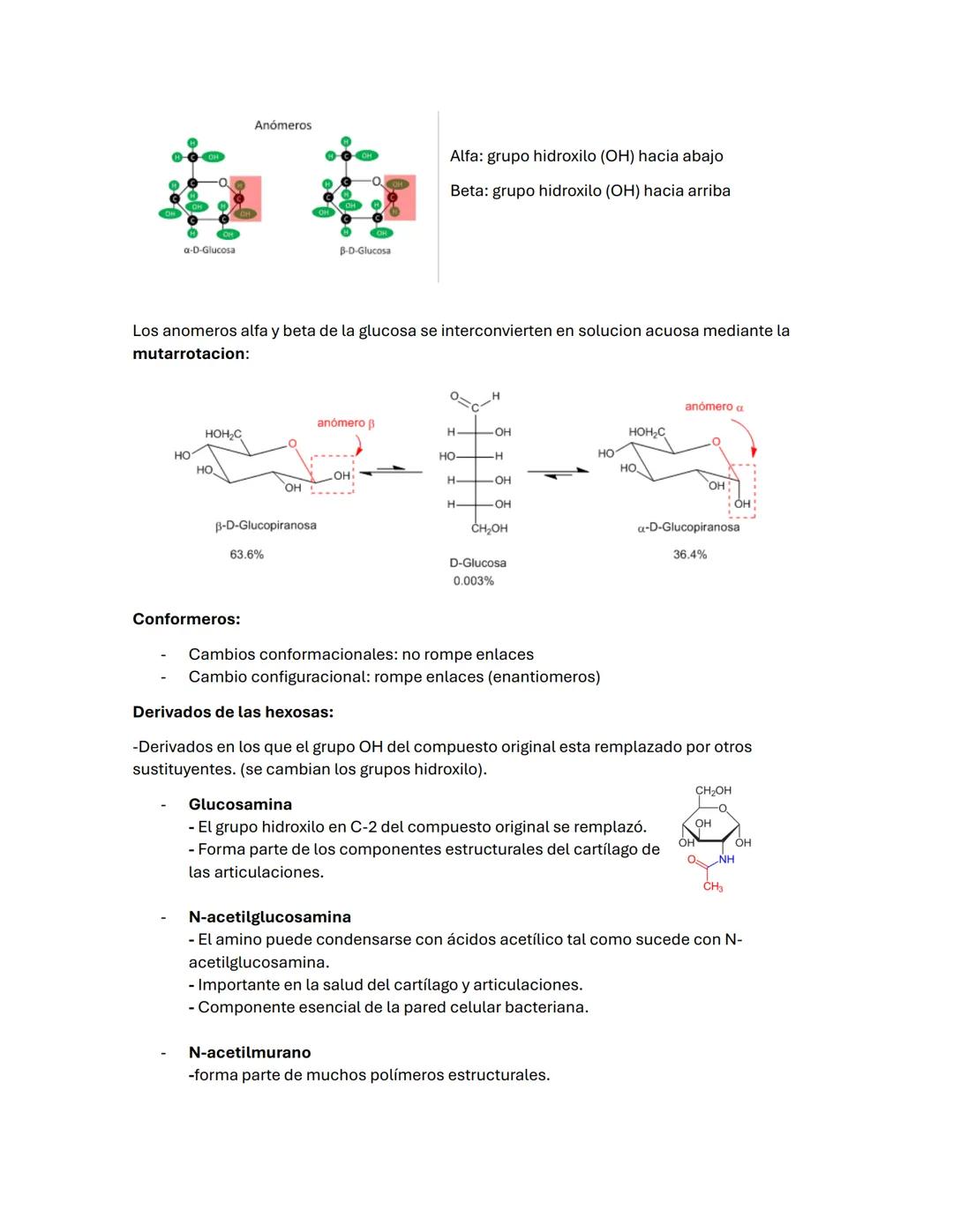 --- OCR Start ---
Guía de BIOQUÍMICа #2
carbohidratos/ BLÚCIDOS
-La oxidación de los glúcidos es la principal ruta de obtención de energía e