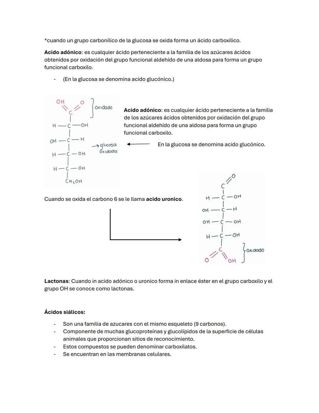 --- OCR Start ---
Guía de BIOQUÍMICа #2
carbohidratos/ BLÚCIDOS
-La oxidación de los glúcidos es la principal ruta de obtención de energía e