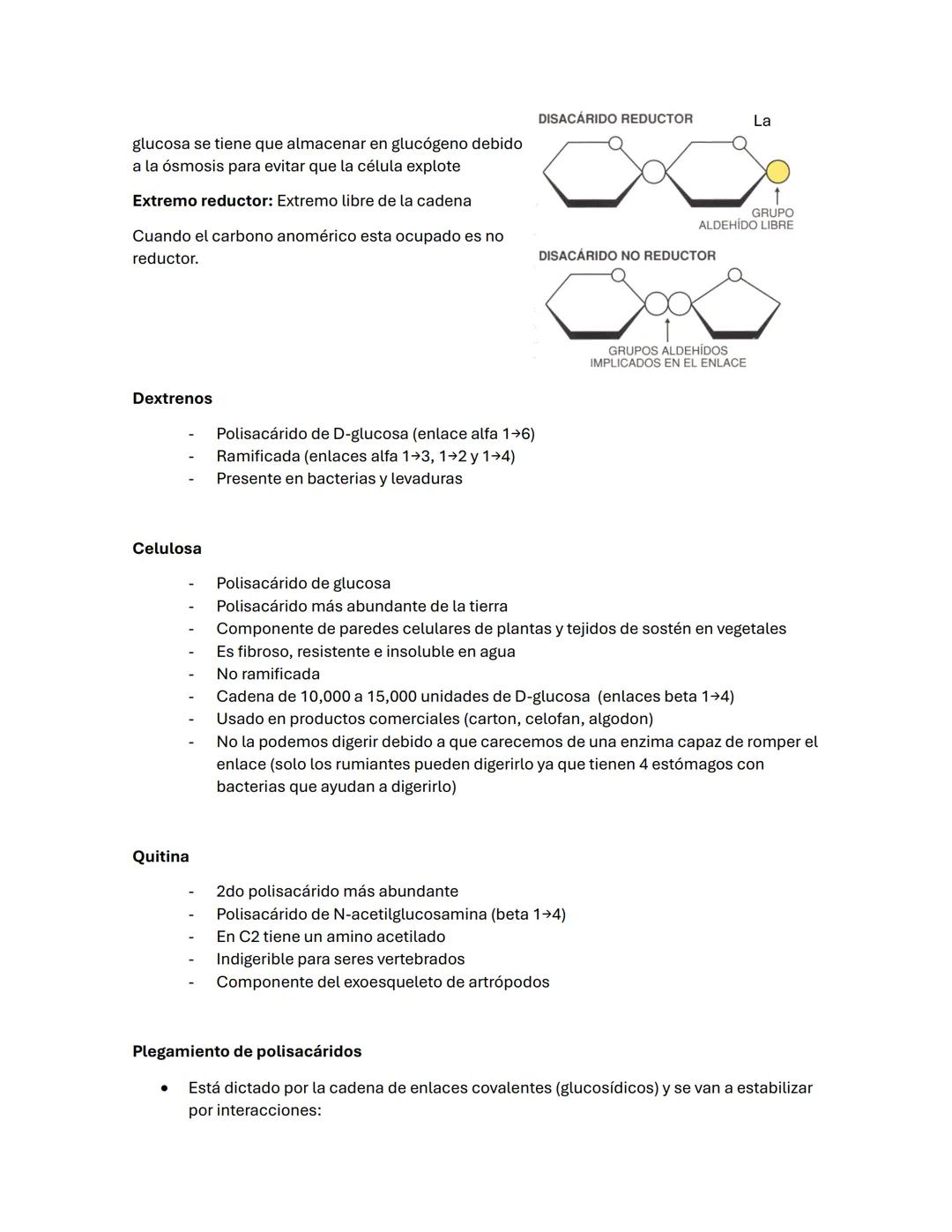 --- OCR Start ---
Guía de BIOQUÍMICа #2
carbohidratos/ BLÚCIDOS
-La oxidación de los glúcidos es la principal ruta de obtención de energía e