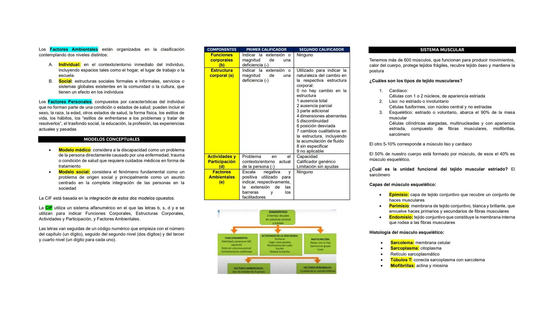 # PRIMER PARCIAL DE REHABILITACIÓN
1.- ¿Qué es la medicina de la rehabilitación? Rama médica que
desarrolla un conjunto de medidas de promo