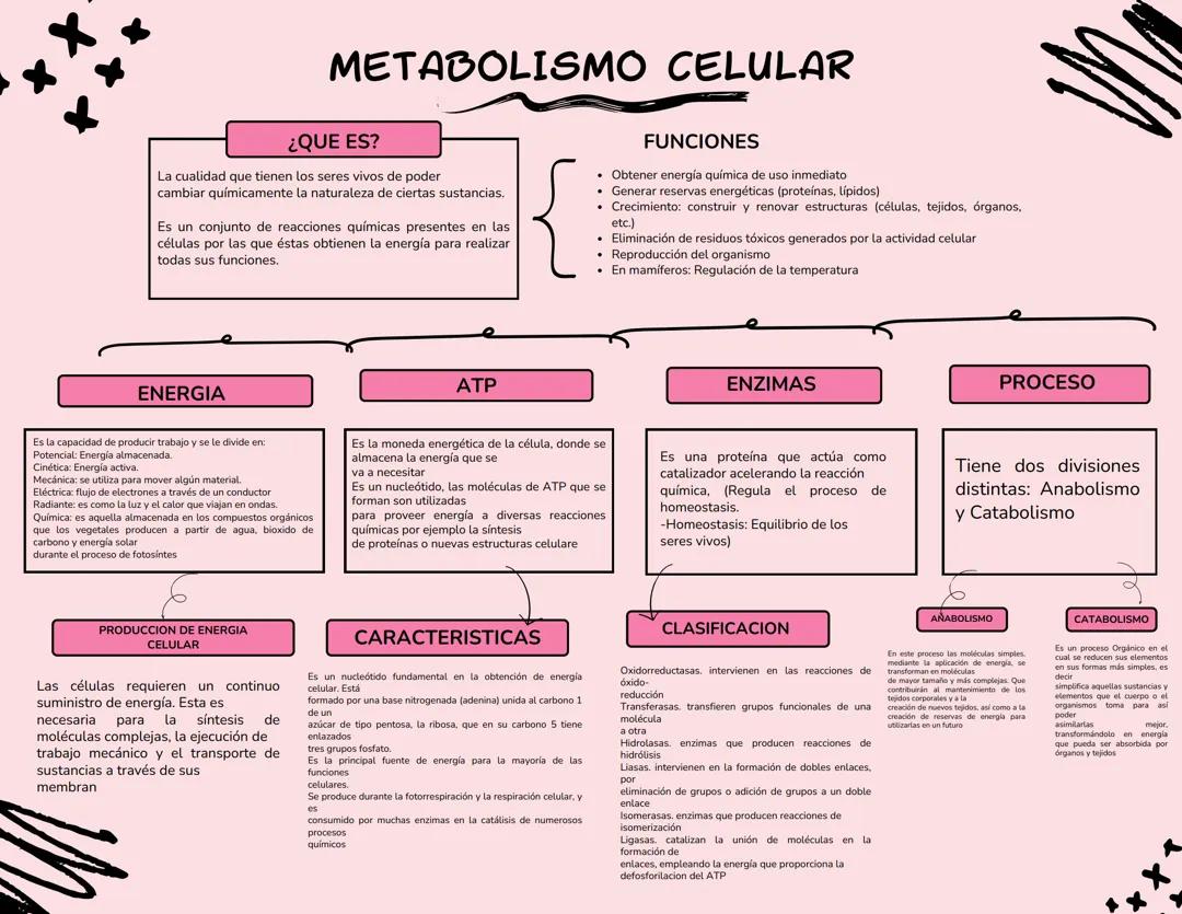 Información completa acerca de un tema importante de la asignatura de biología