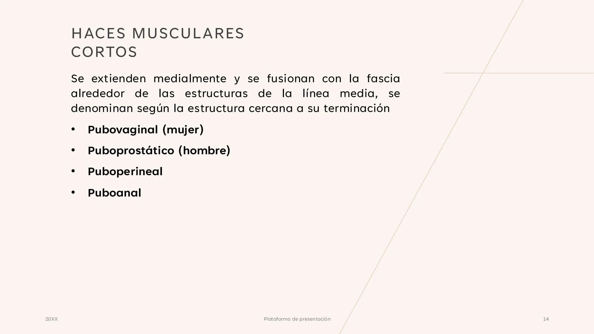 # CAVIDAD PÉLVICA
Adrián Hernández Lemus EXTENSIÓN
Es una cavidad que se extiende:
• Superiormente hacia la caja torácica
• Inferiorment