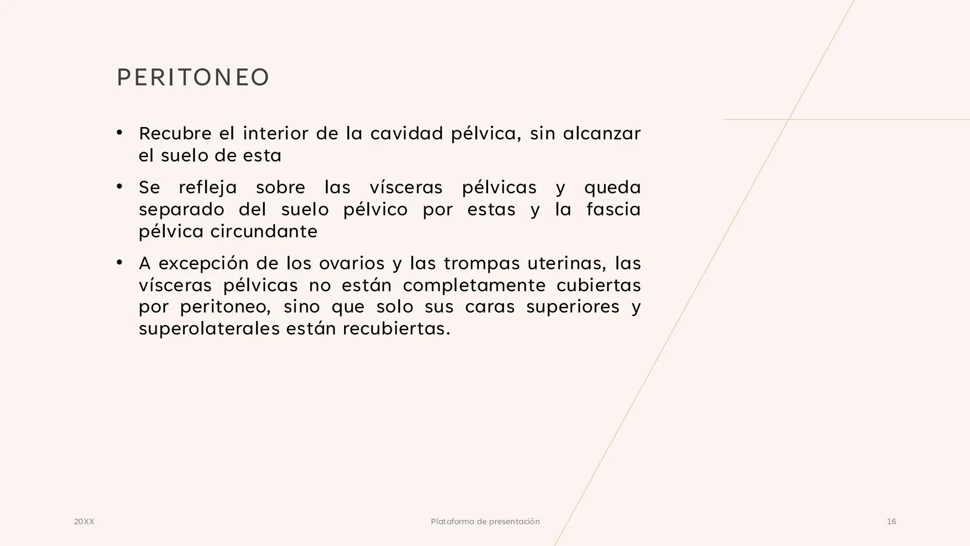 # CAVIDAD PÉLVICA
Adrián Hernández Lemus EXTENSIÓN
Es una cavidad que se extiende:
• Superiormente hacia la caja torácica
• Inferiorment
