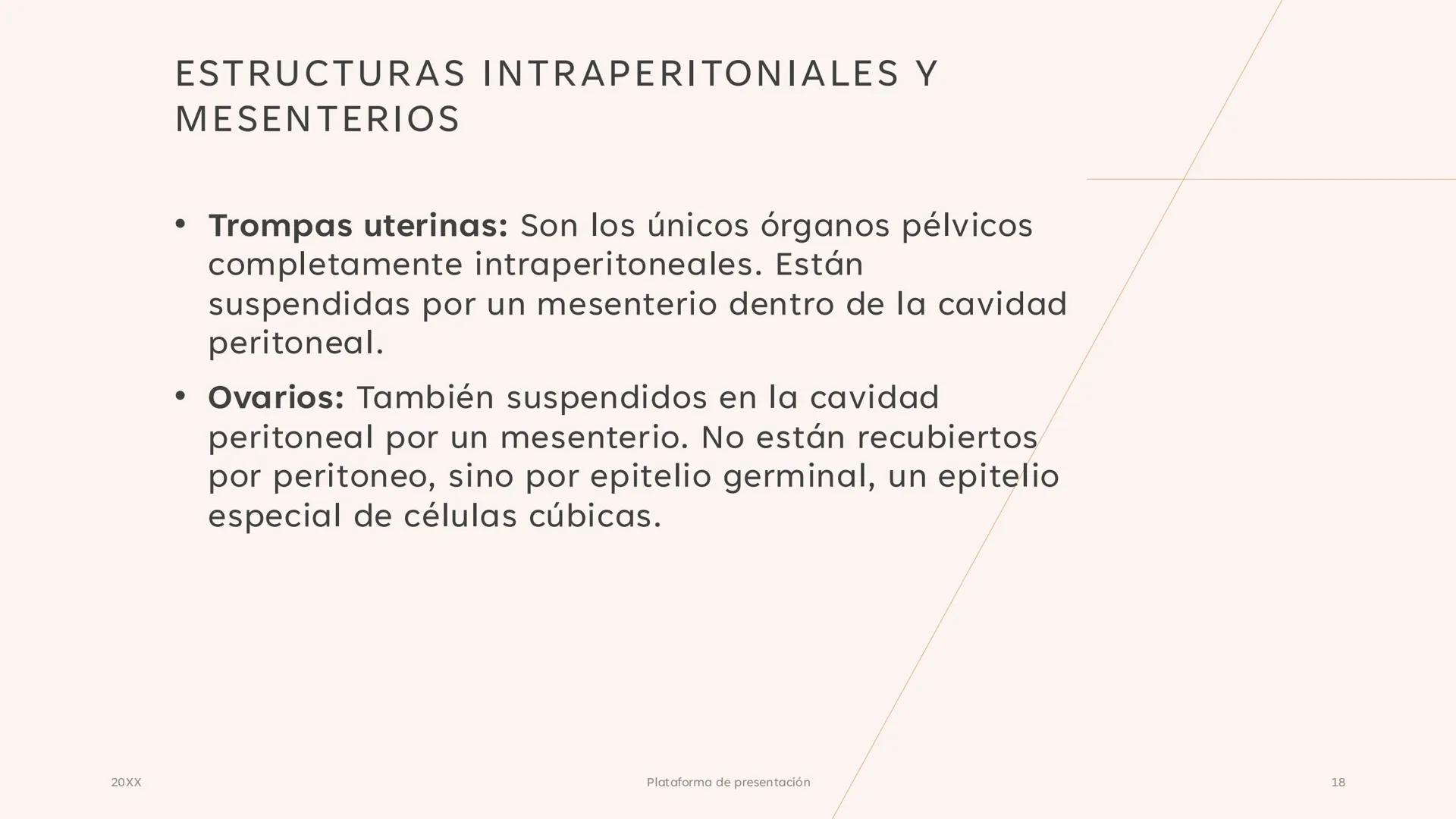 # CAVIDAD PÉLVICA
Adrián Hernández Lemus EXTENSIÓN
Es una cavidad que se extiende:
• Superiormente hacia la caja torácica
• Inferiorment