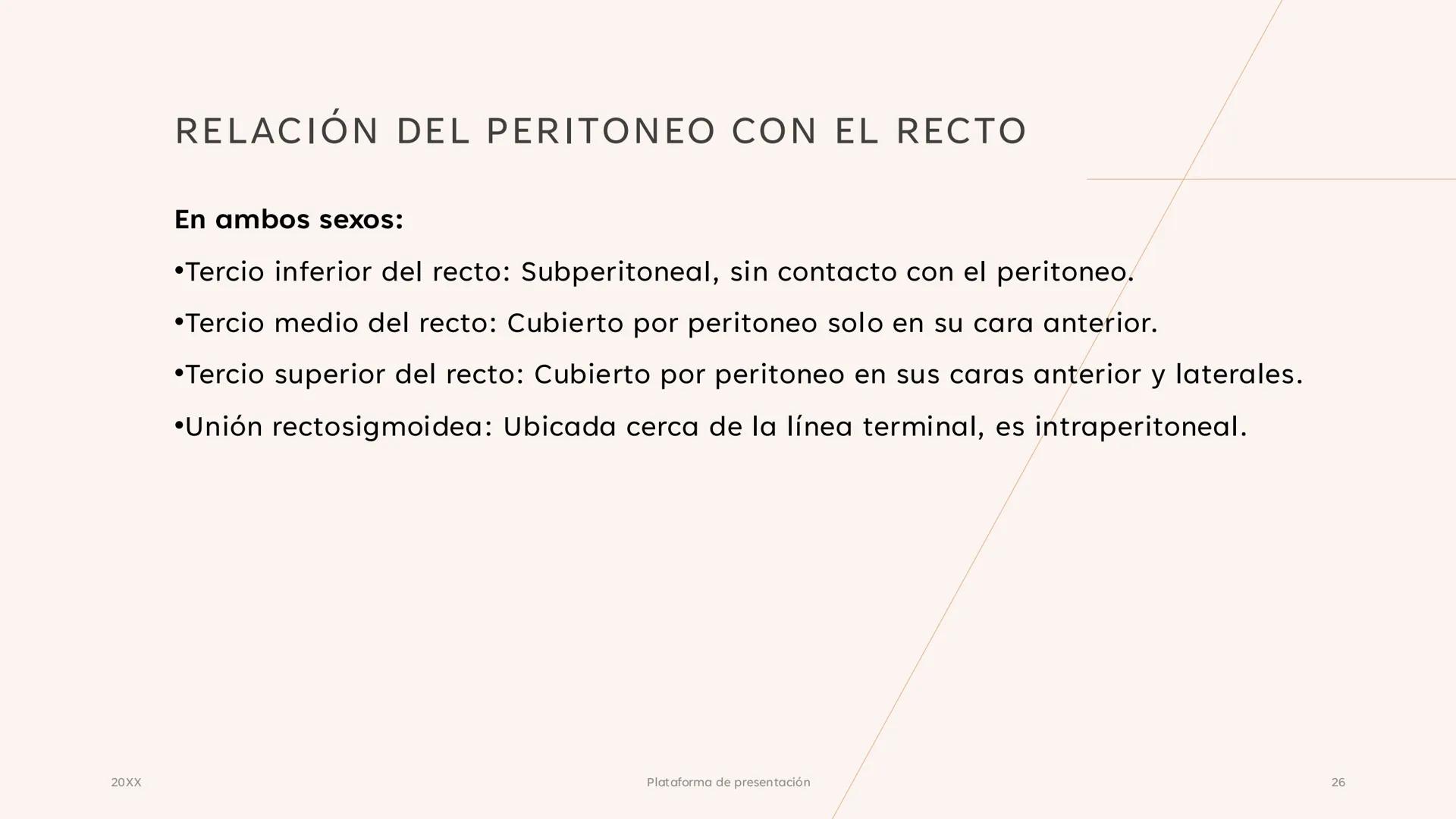 # CAVIDAD PÉLVICA
Adrián Hernández Lemus EXTENSIÓN
Es una cavidad que se extiende:
• Superiormente hacia la caja torácica
• Inferiorment