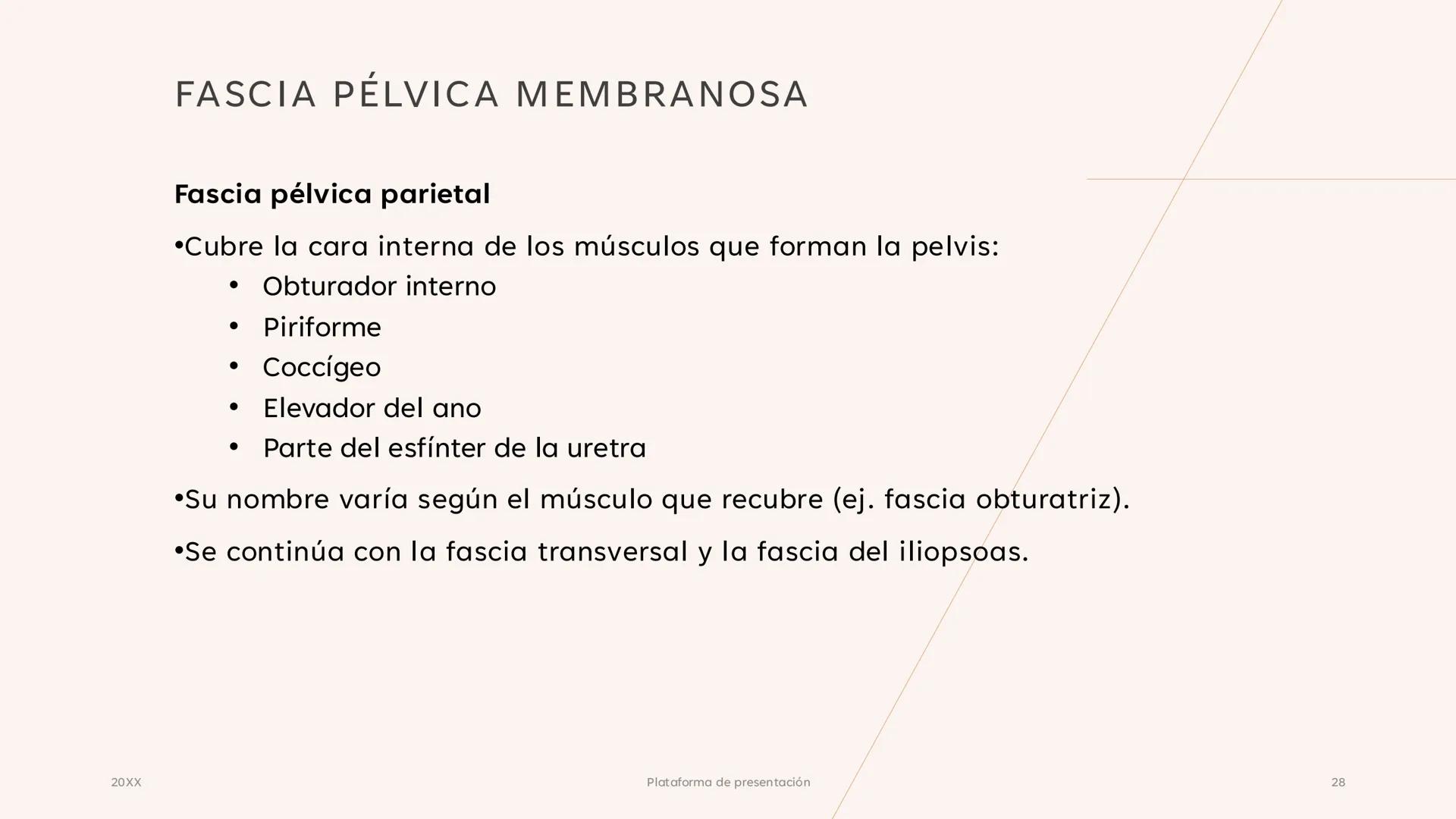 # CAVIDAD PÉLVICA
Adrián Hernández Lemus EXTENSIÓN
Es una cavidad que se extiende:
• Superiormente hacia la caja torácica
• Inferiorment