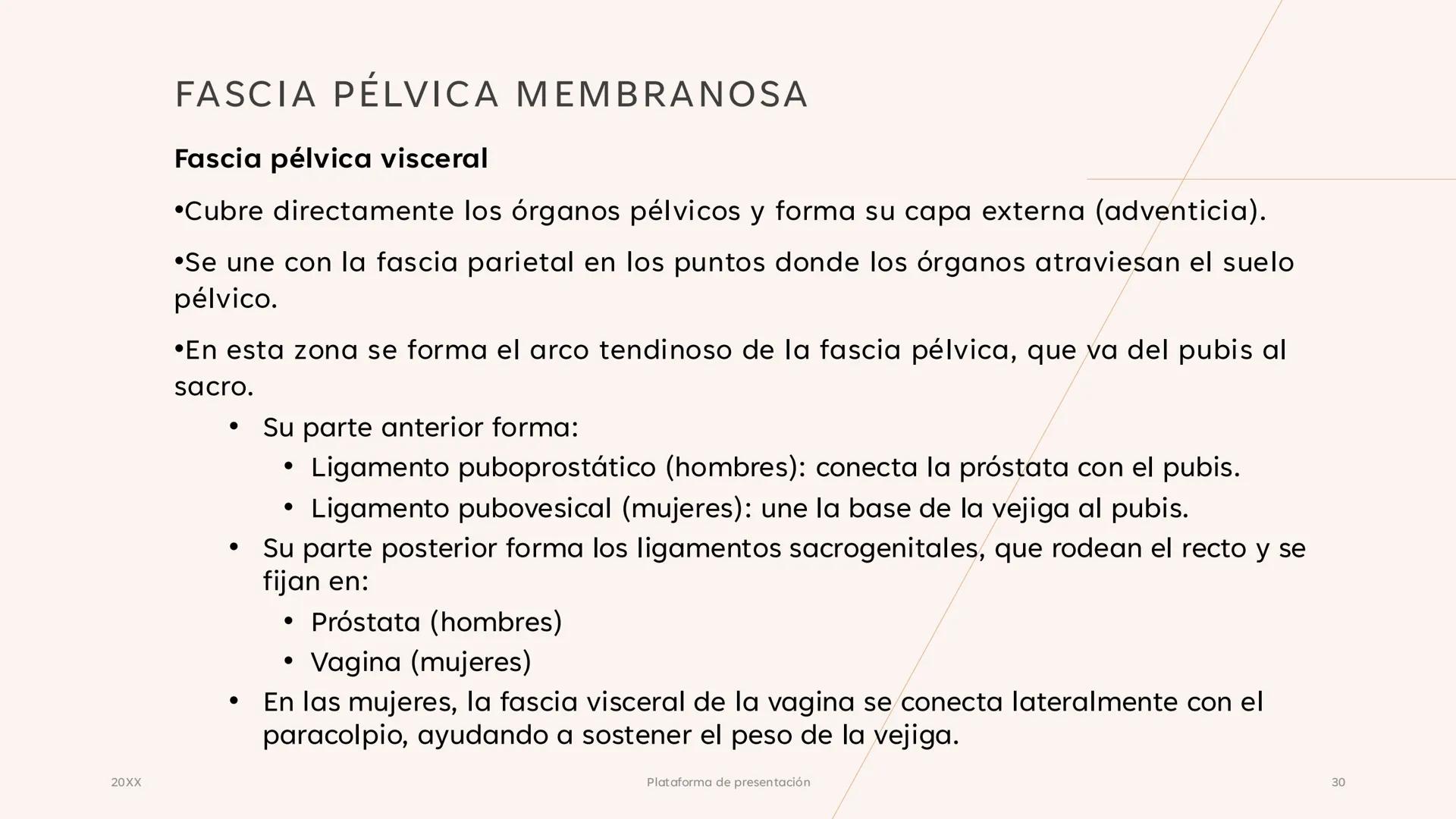 # CAVIDAD PÉLVICA
Adrián Hernández Lemus EXTENSIÓN
Es una cavidad que se extiende:
• Superiormente hacia la caja torácica
• Inferiorment