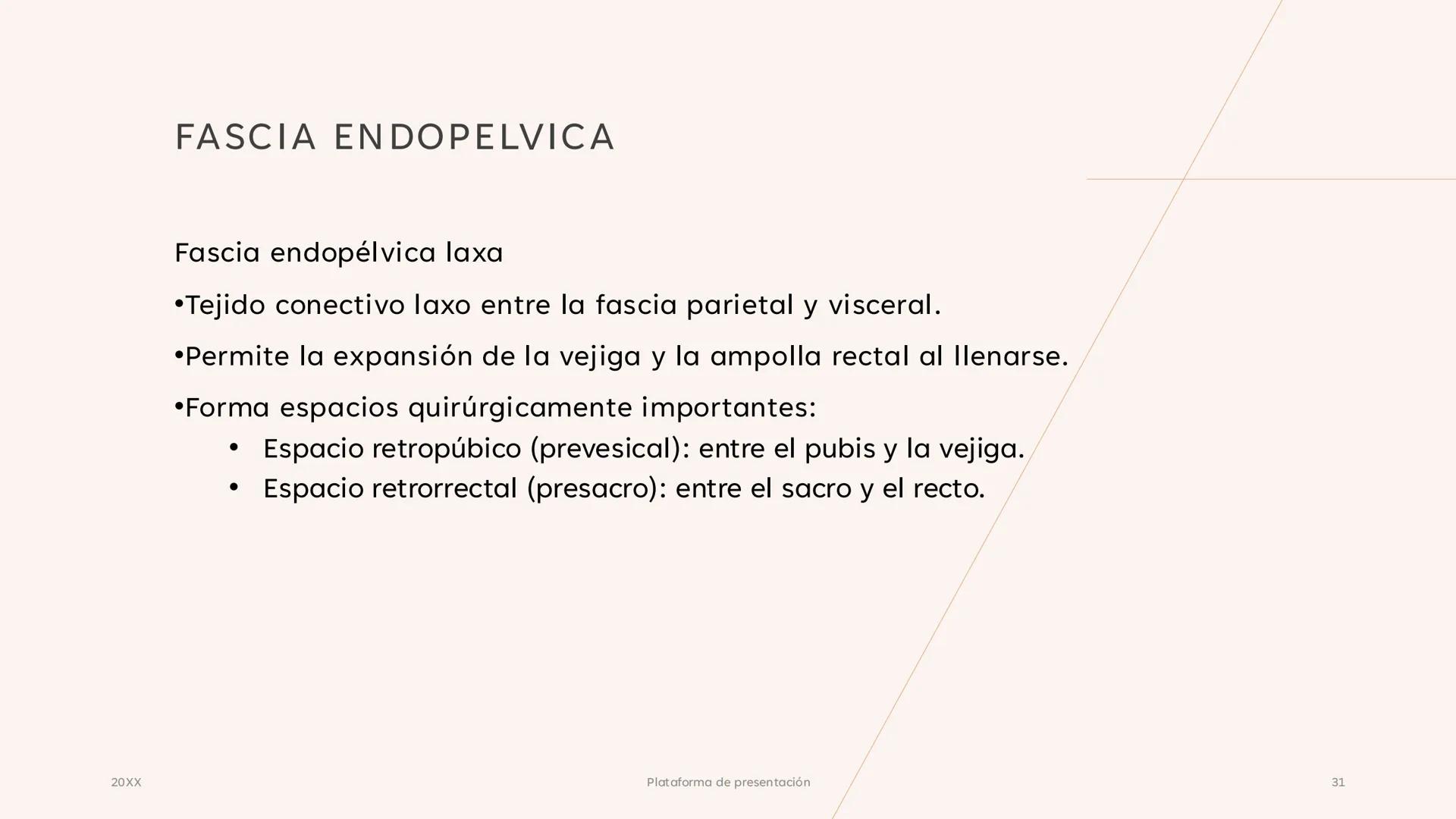 # CAVIDAD PÉLVICA
Adrián Hernández Lemus EXTENSIÓN
Es una cavidad que se extiende:
• Superiormente hacia la caja torácica
• Inferiorment