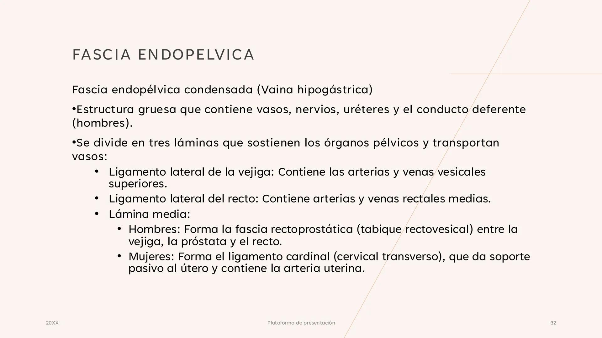 # CAVIDAD PÉLVICA
Adrián Hernández Lemus EXTENSIÓN
Es una cavidad que se extiende:
• Superiormente hacia la caja torácica
• Inferiorment